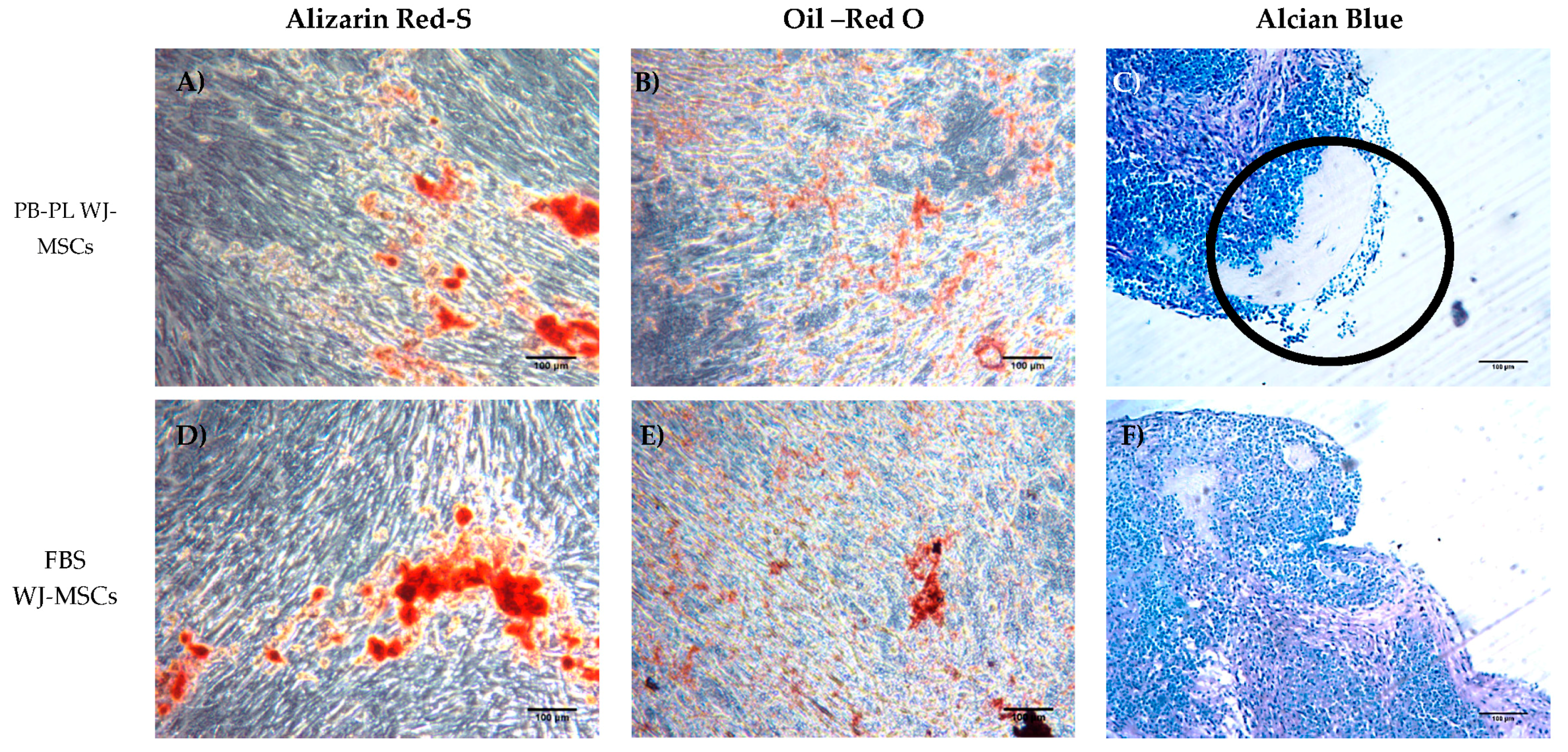 Bioengineering 05 00019 g004 Bioengineering 05 00019 g004