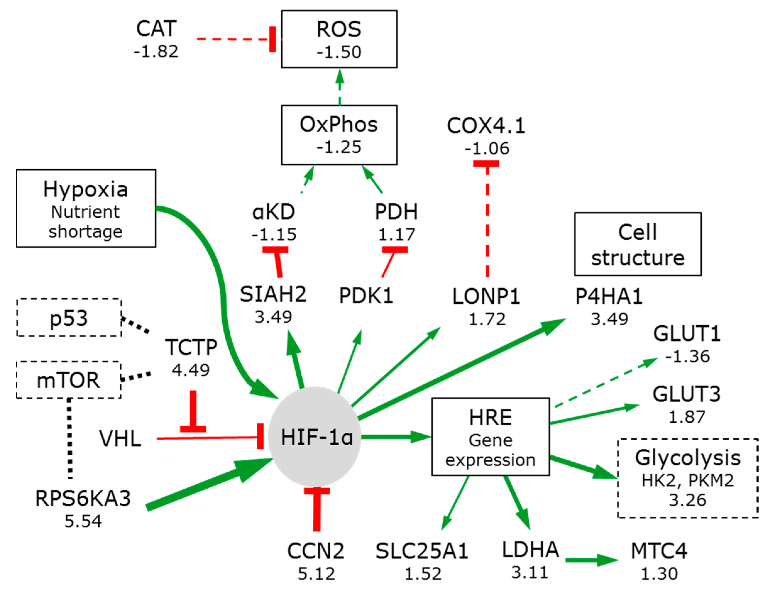 Bioengineering 05 00022 g004