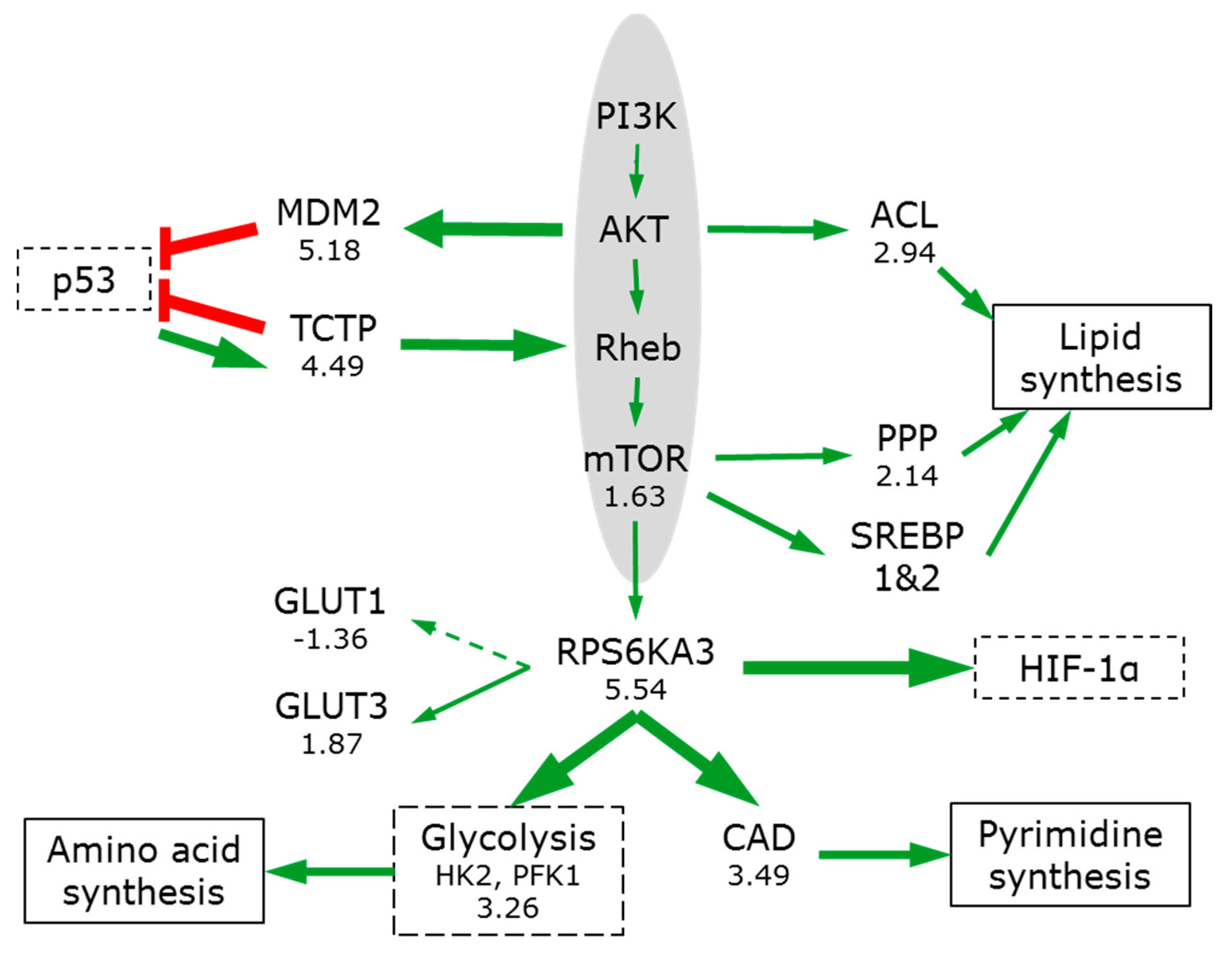 Bioengineering 05 00022 g006