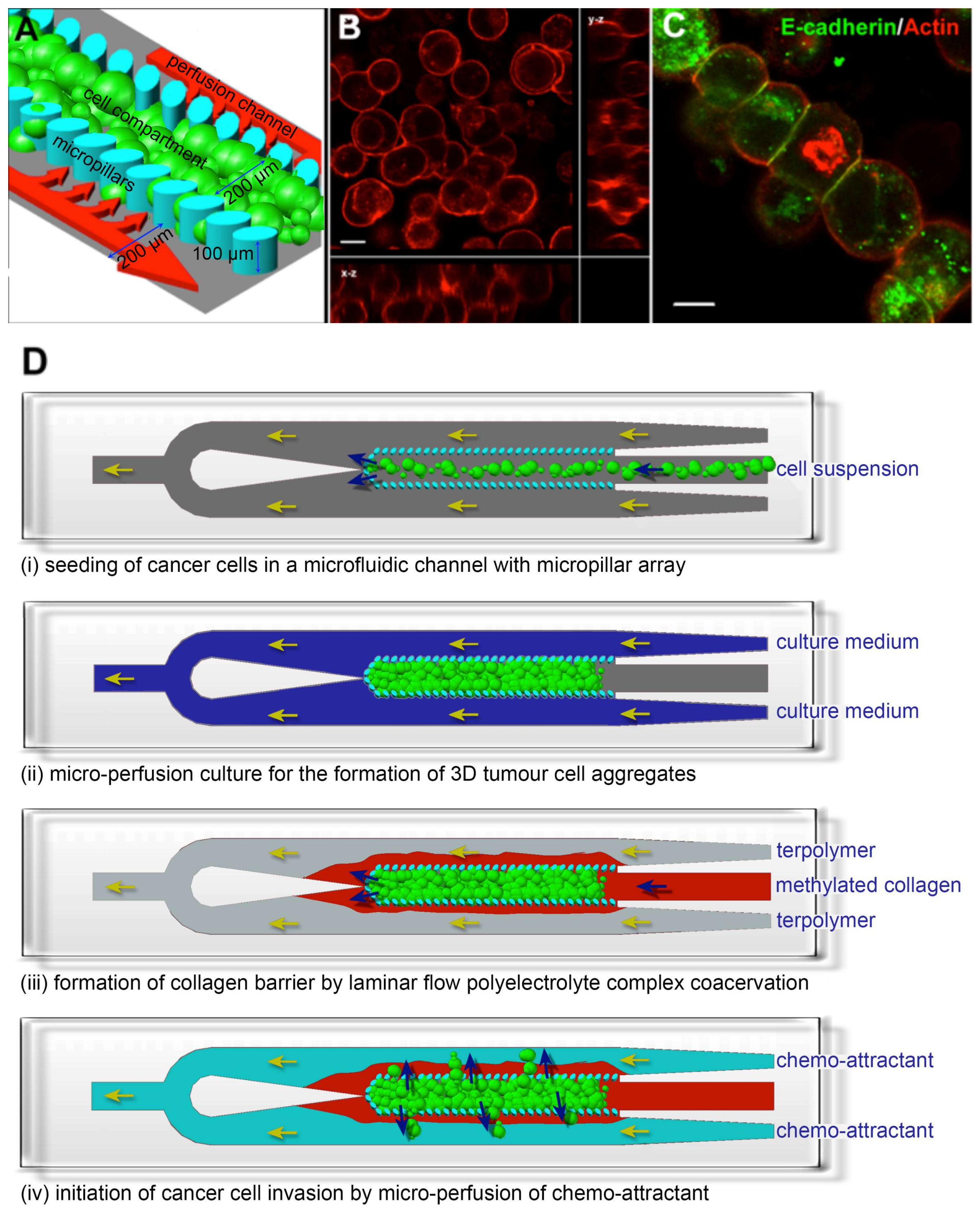 Bioengineering 05 00029 g001