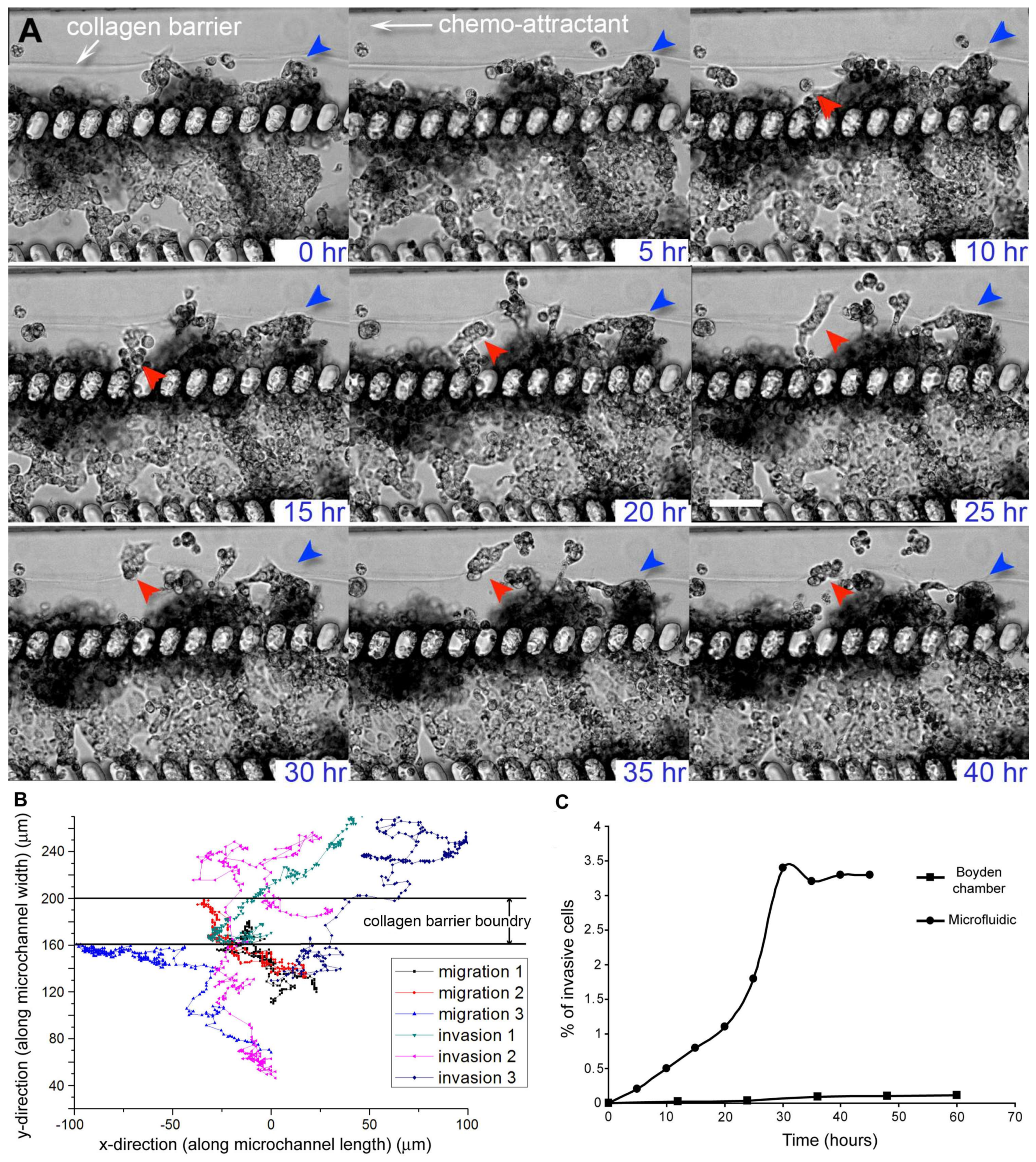 Bioengineering 05 00029 g002