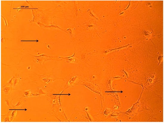 Bioengineering 05 00040 g0a1