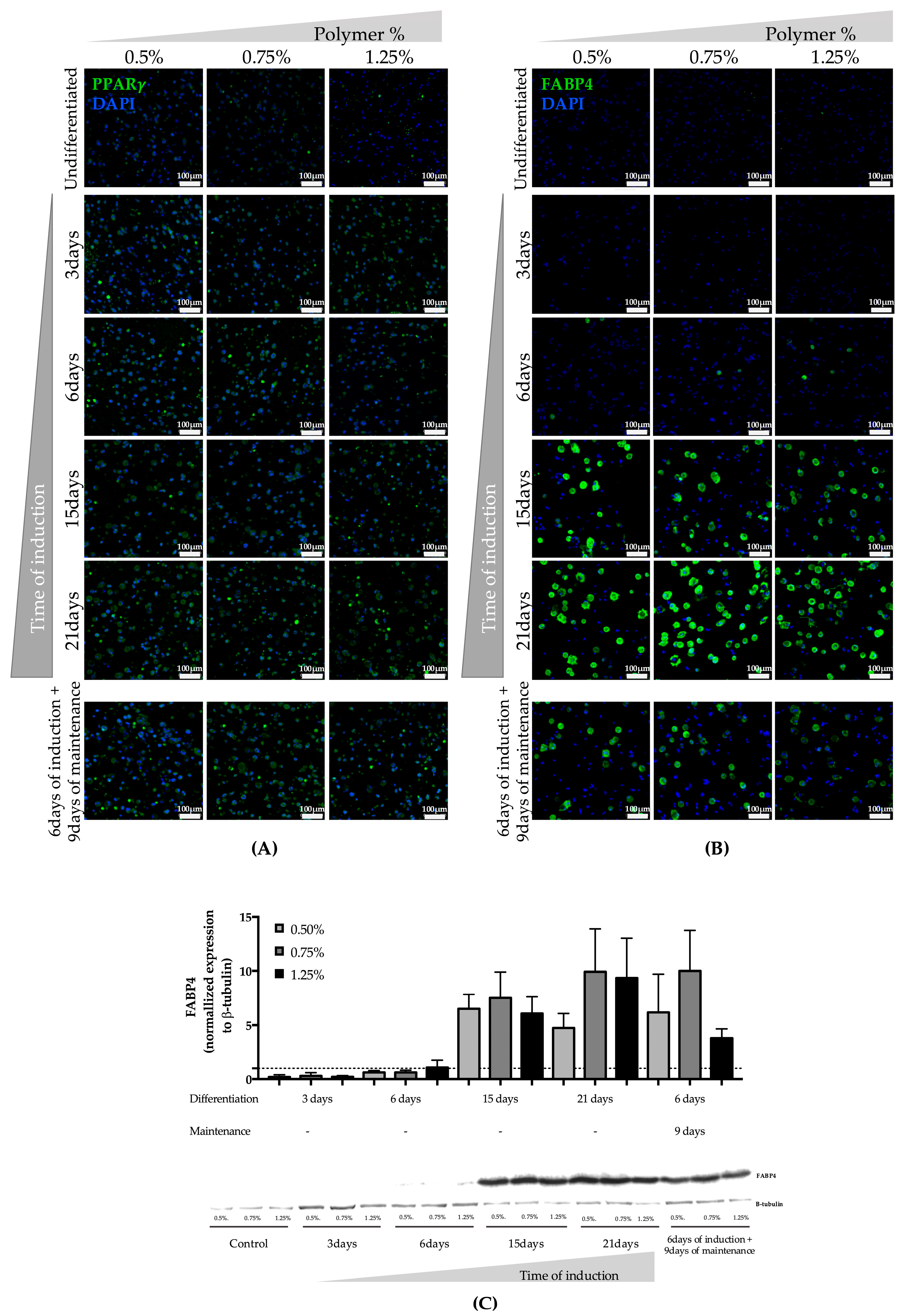 Bioengineering 05 00052 g004