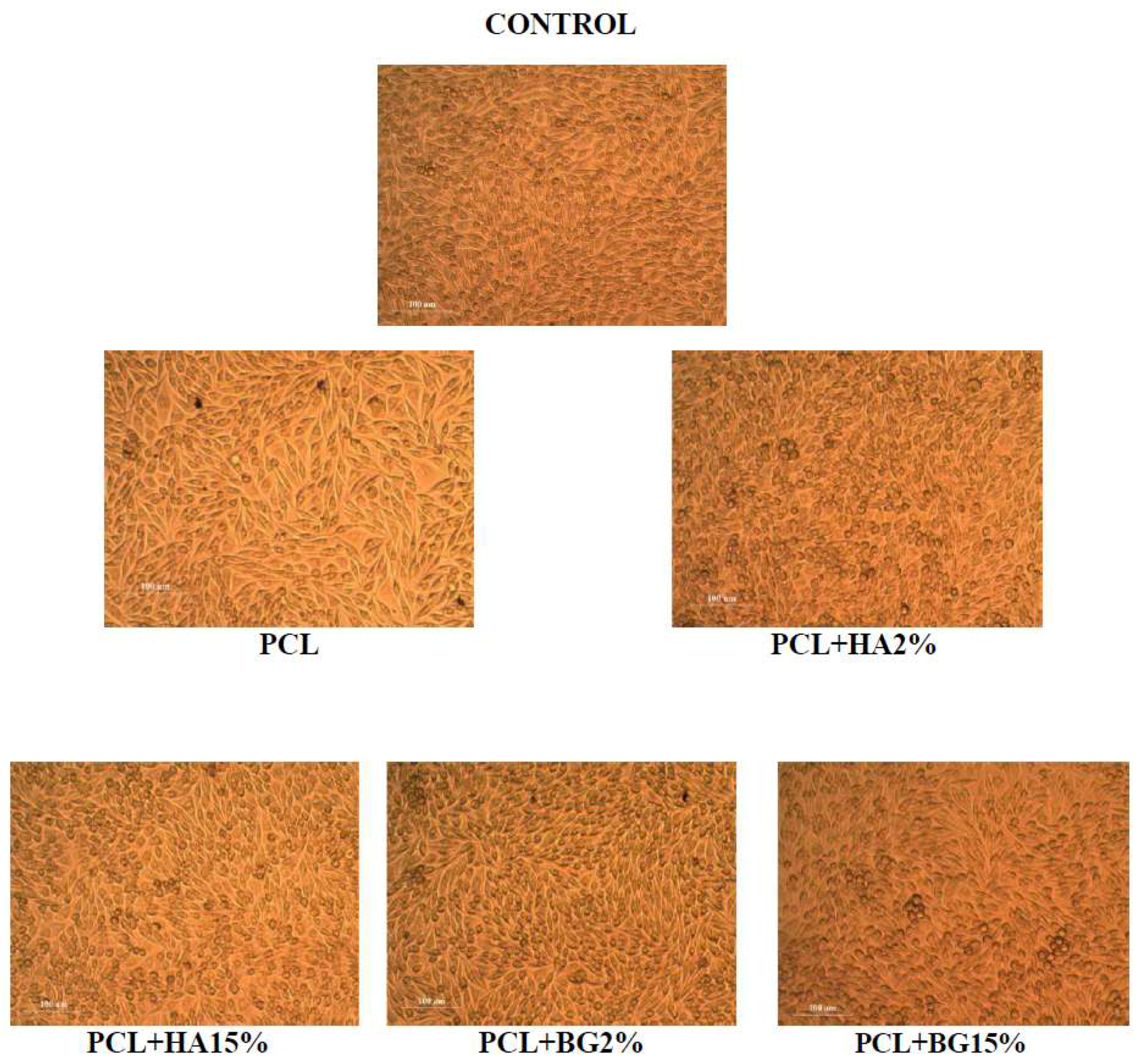 Bioengineering 05 00054 g006