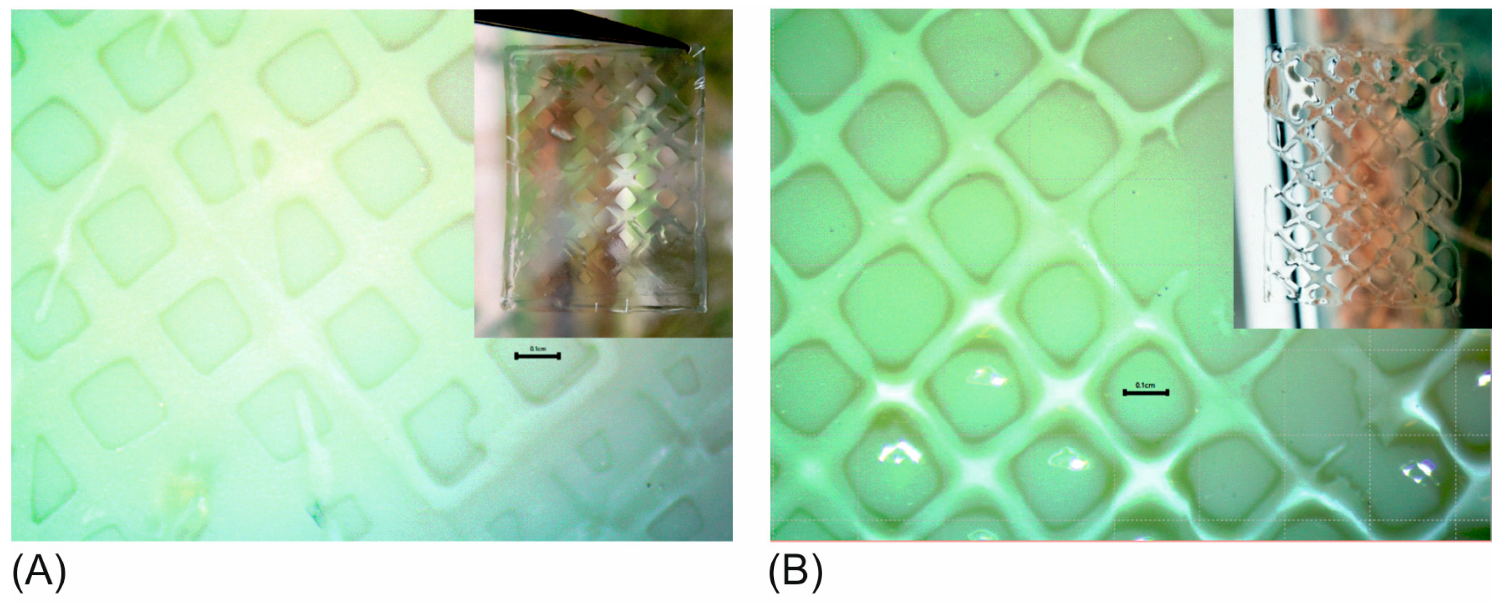 Bioengineering 05 00055 g008