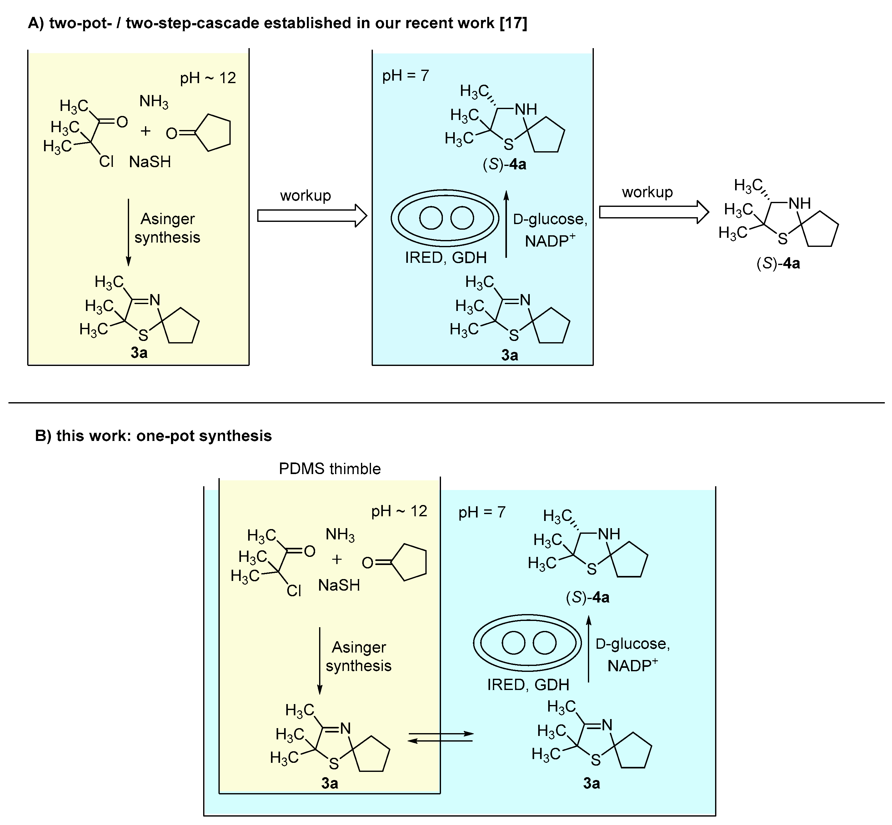 Bioengineering 05 00060 g001