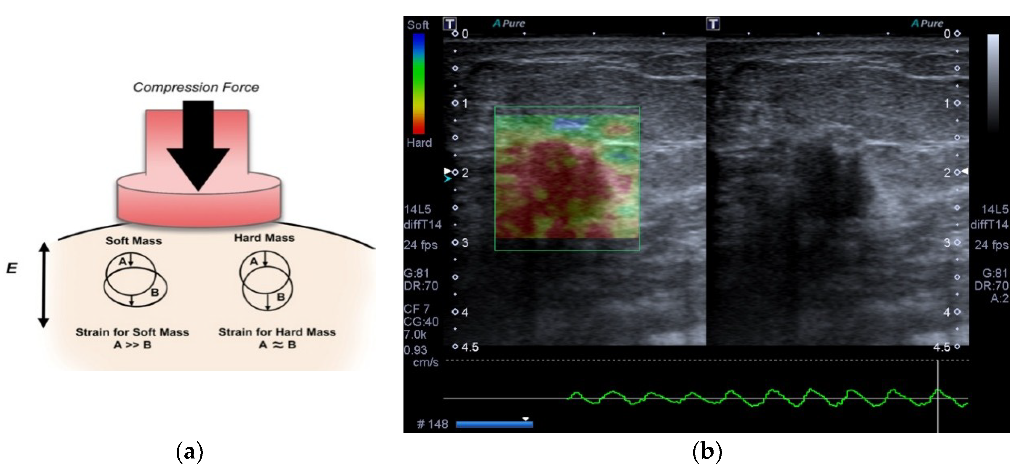 Bioengineering 05 00062 g001 Bioengineering 05 00062 g001
