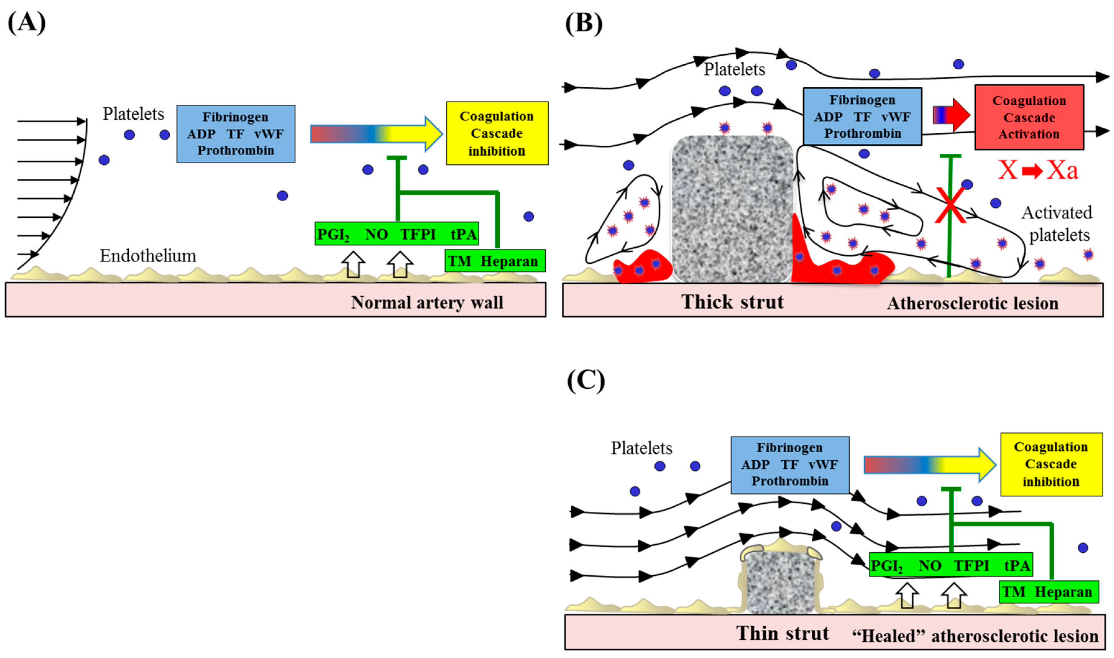 Bioengineering 05 00071 g001