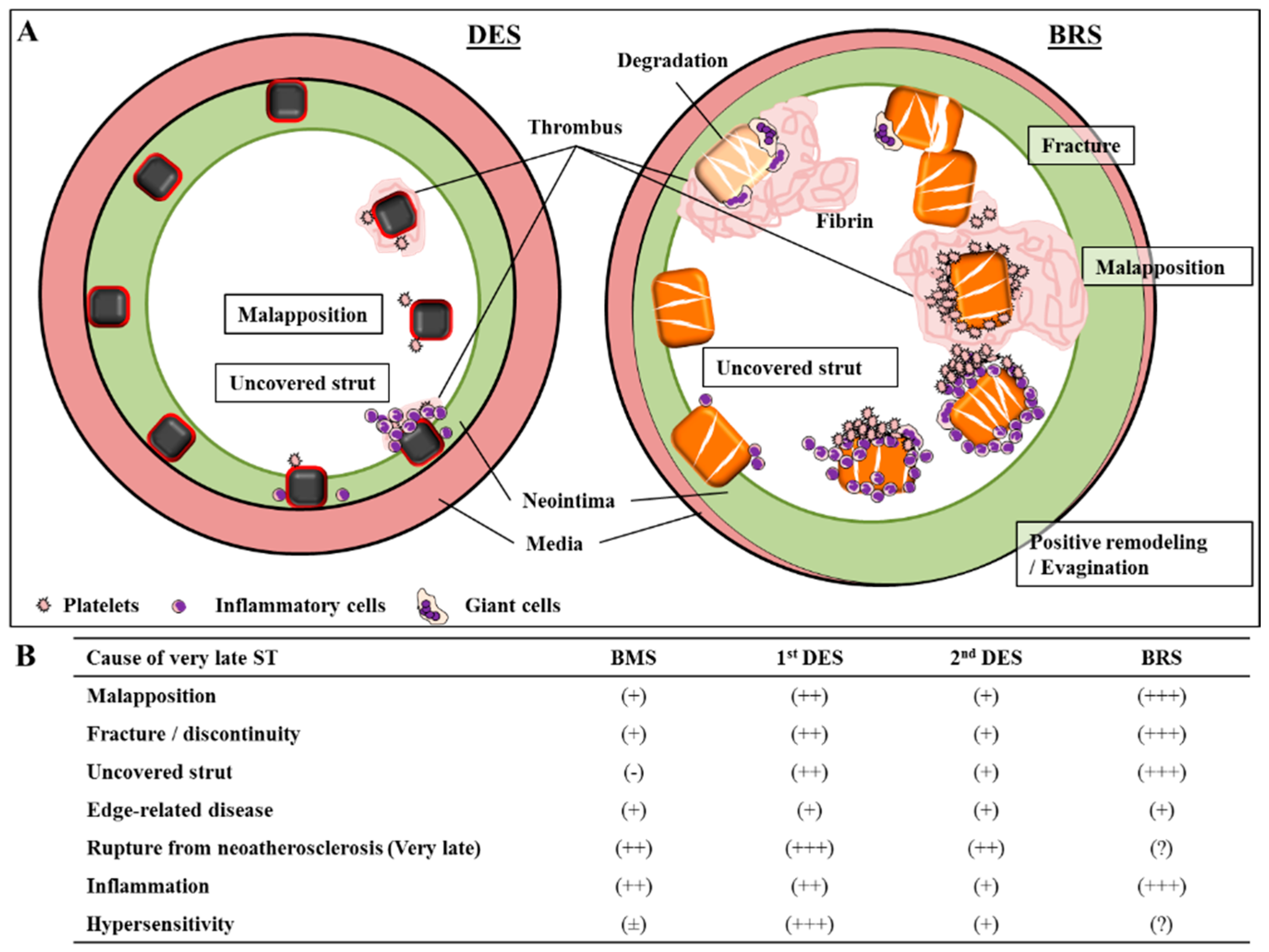 Bioengineering 05 00071 g003