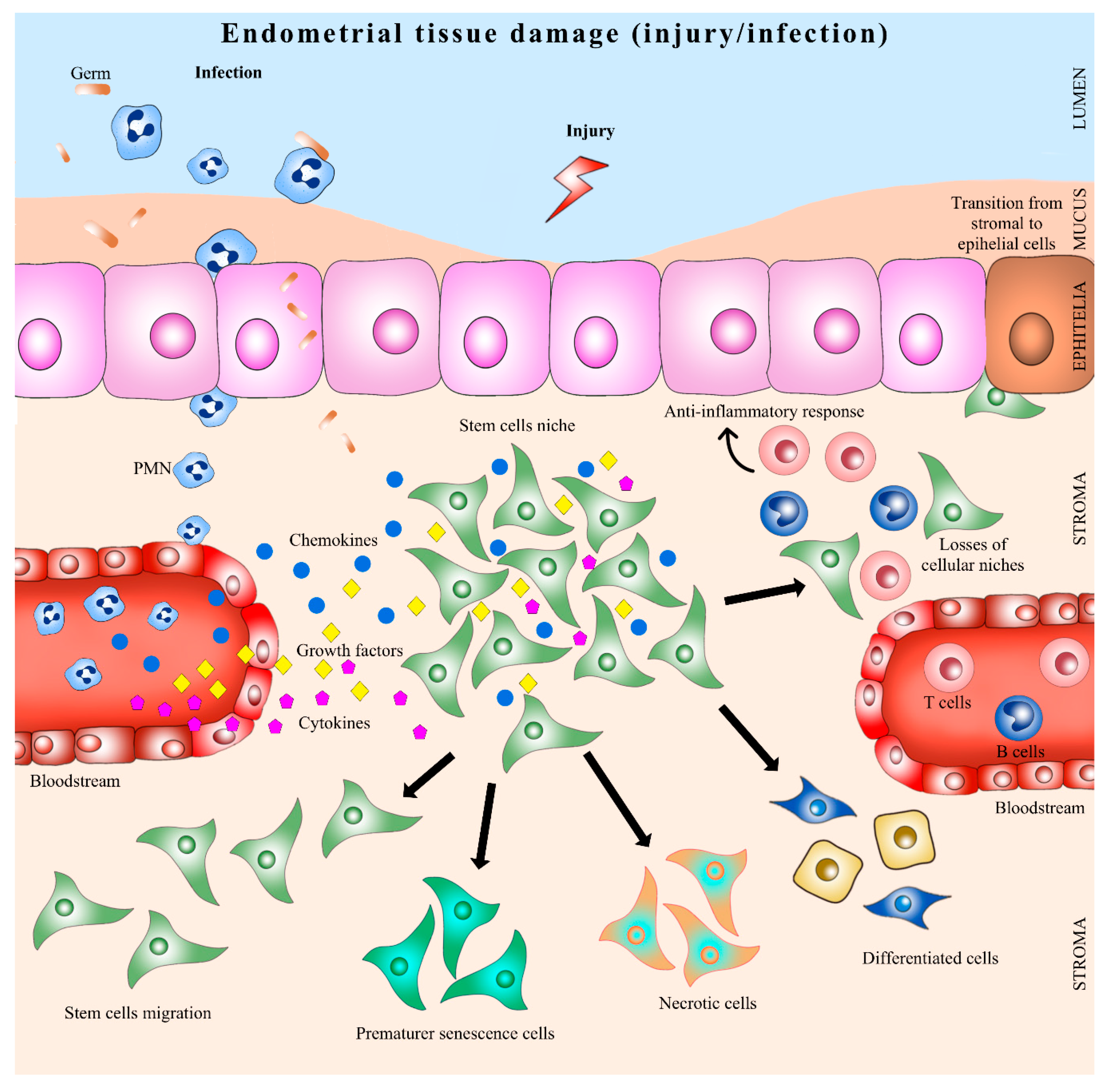 Bioengineering 05 00075 g002 Bioengineering 05 00075 g002
