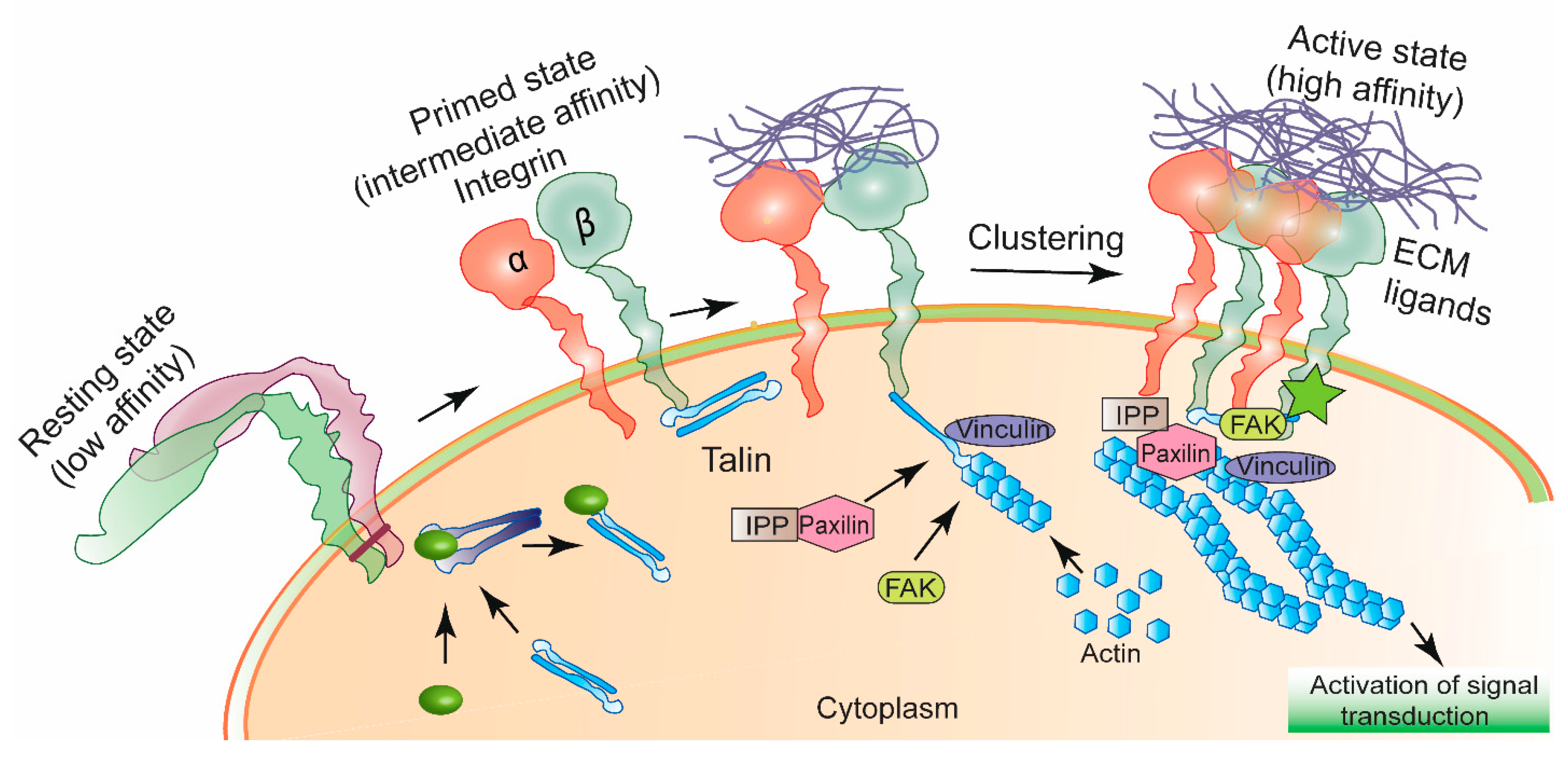 Bioengineering 05 00076 g001