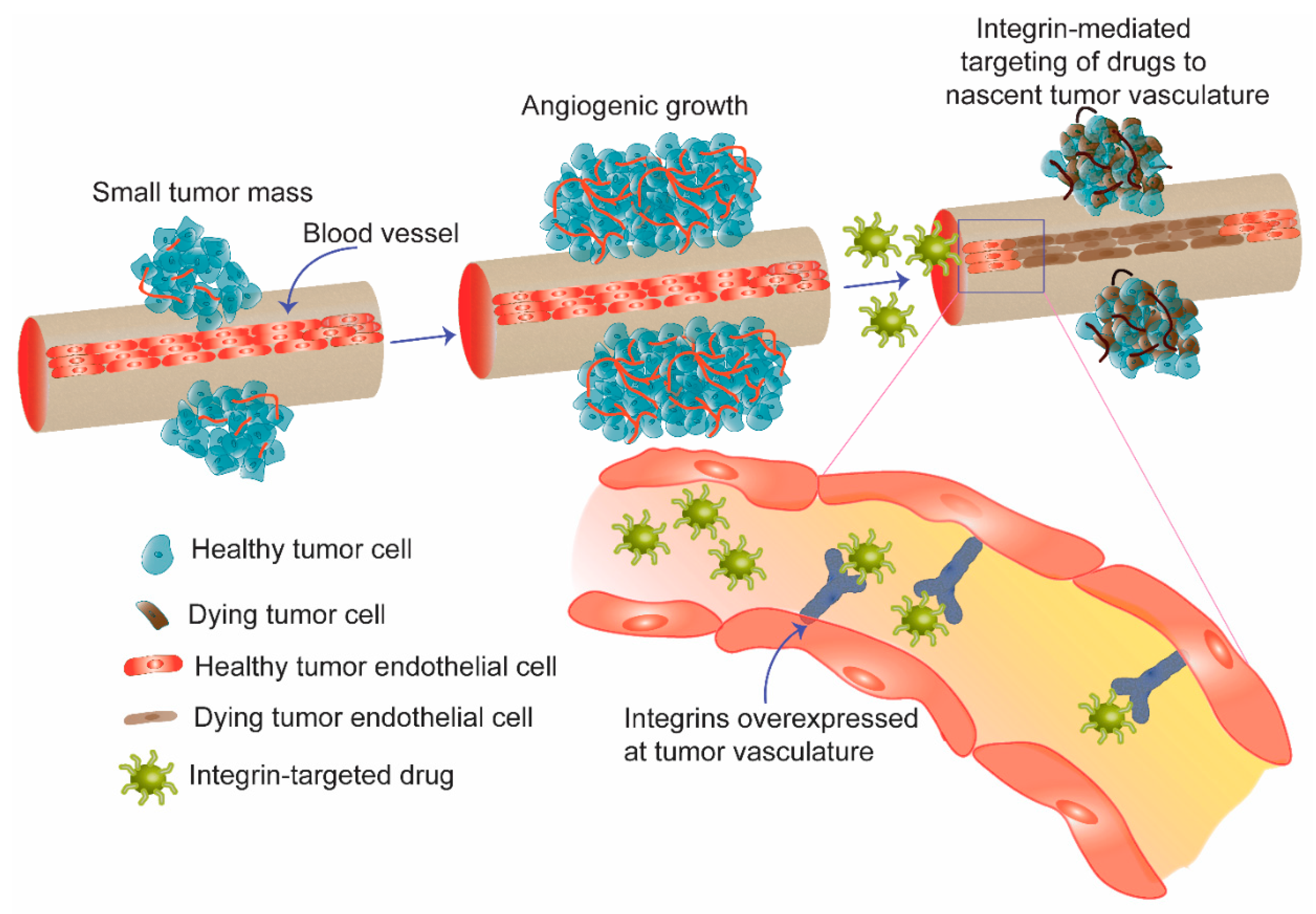 Bioengineering 05 00076 g002