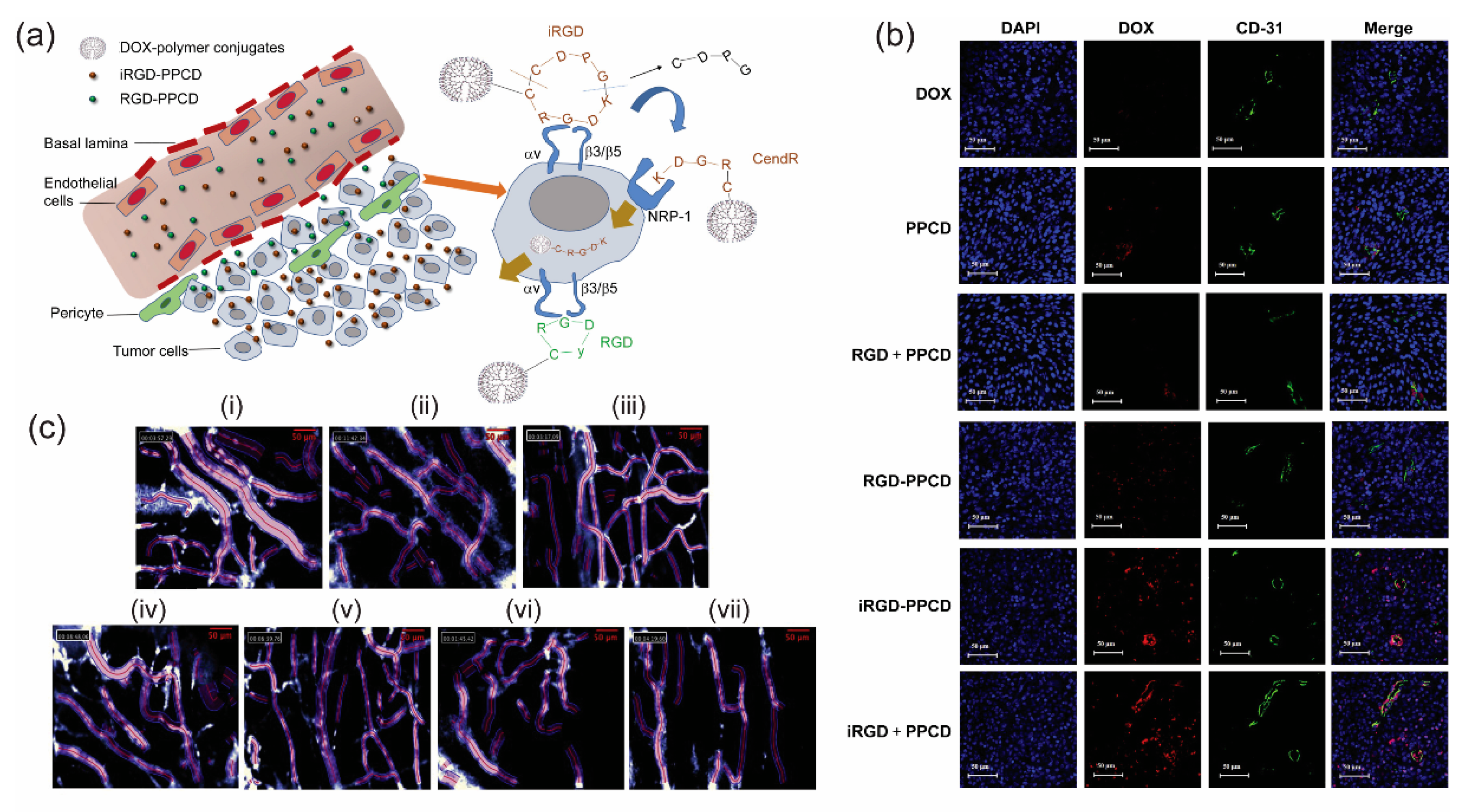 Bioengineering 05 00076 g003