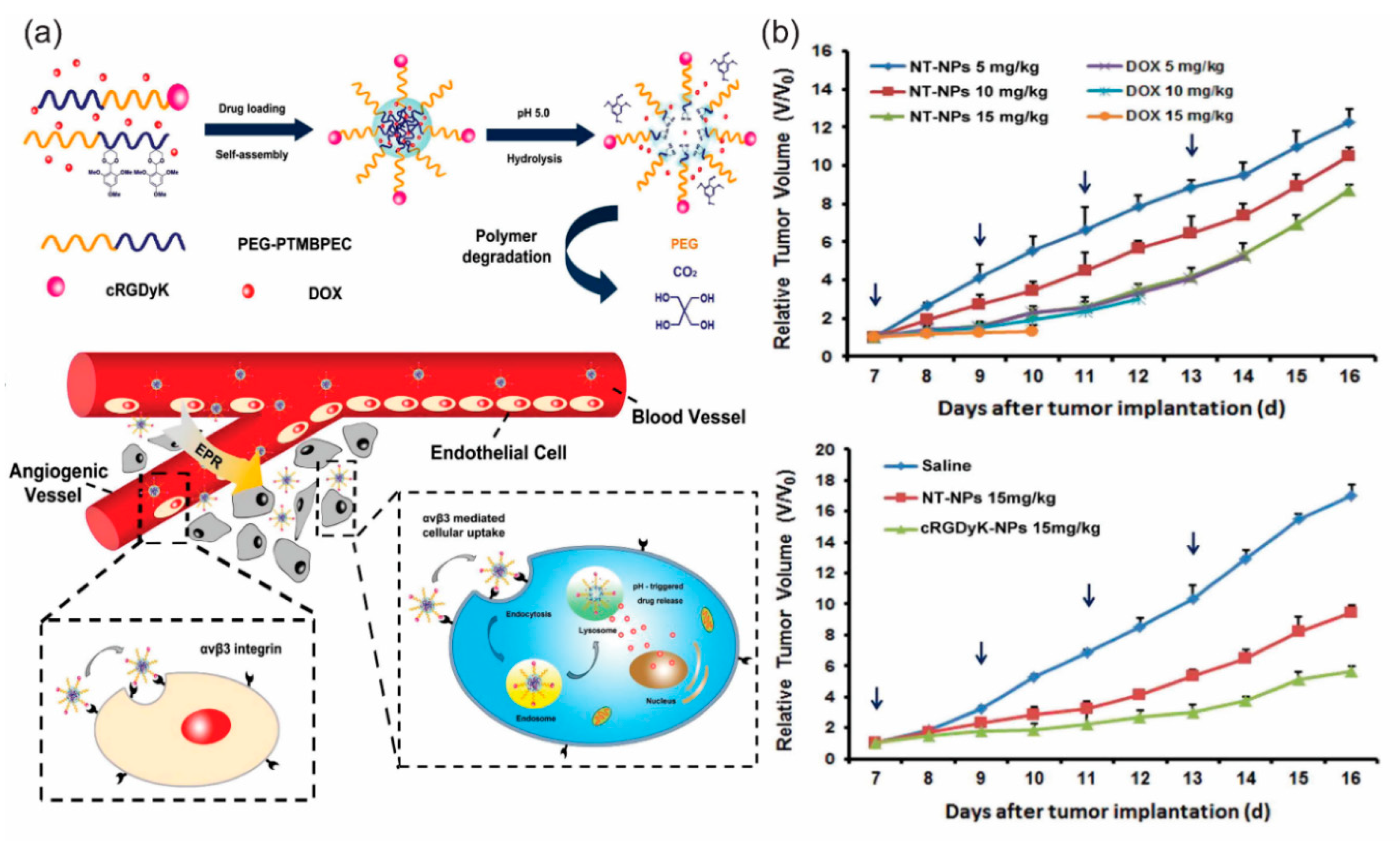 Bioengineering 05 00076 g004
