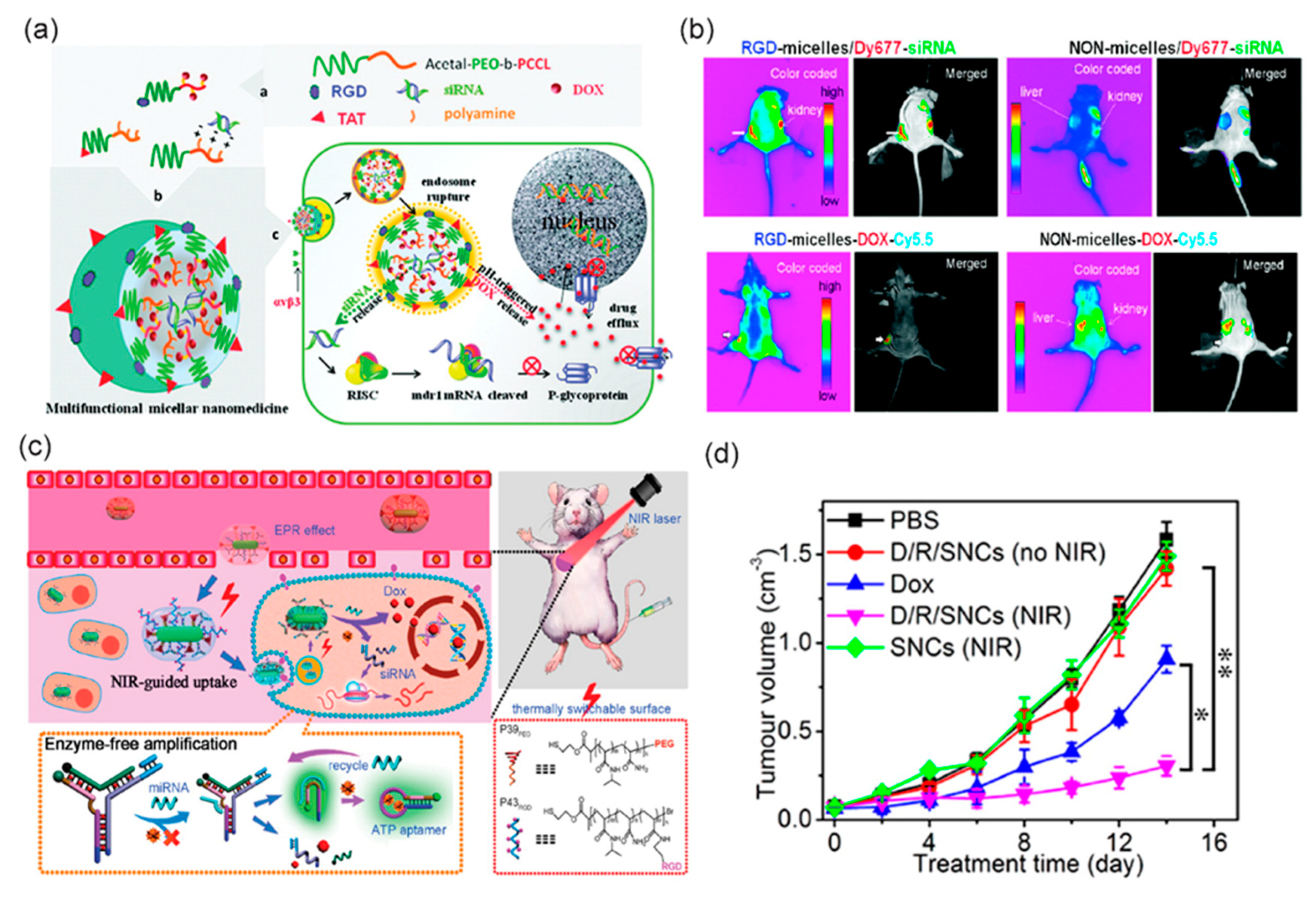 Bioengineering 05 00076 g005