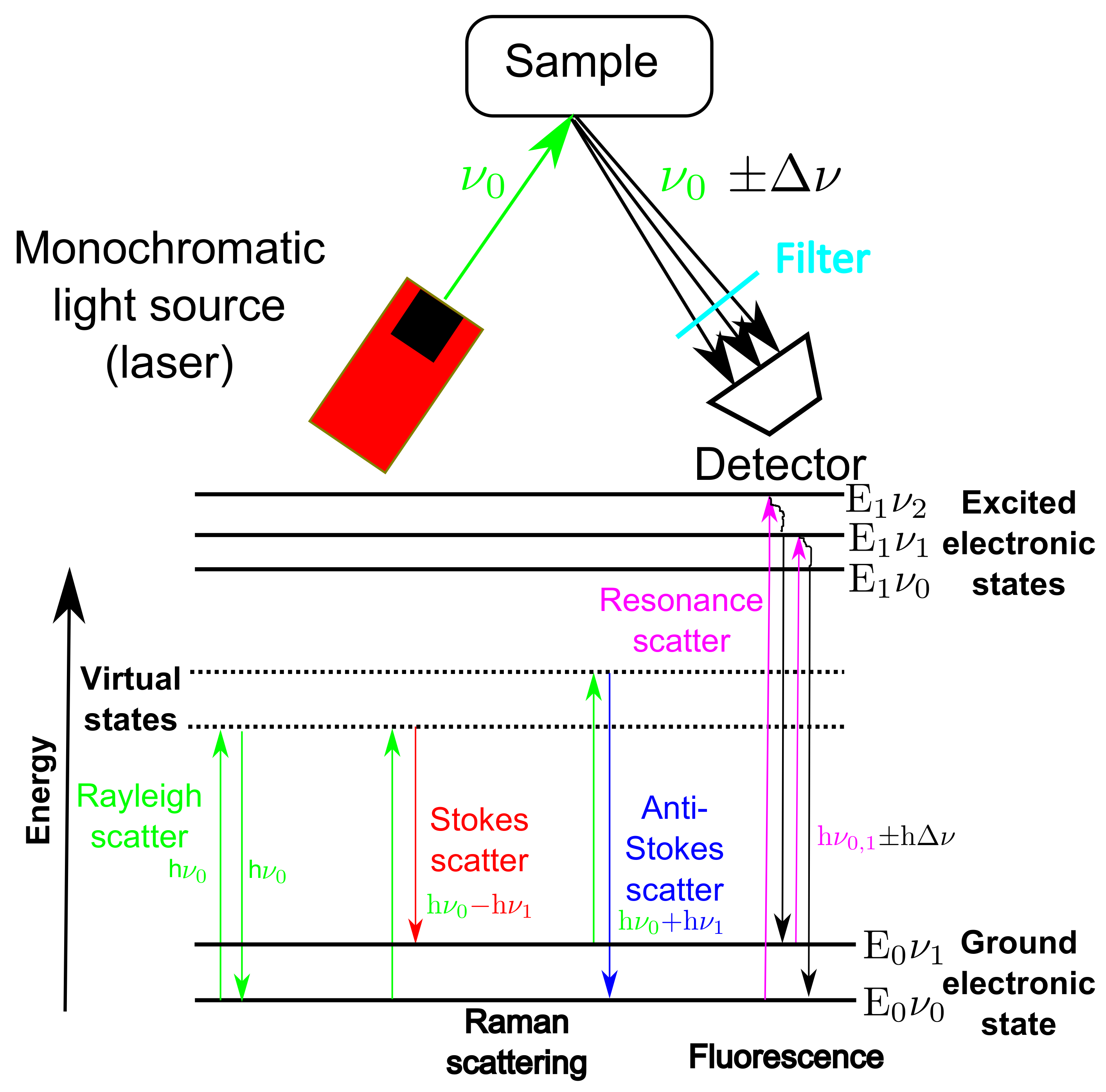 Bioengineering 05 00079 g001 Bioengineering 05 00079 g001