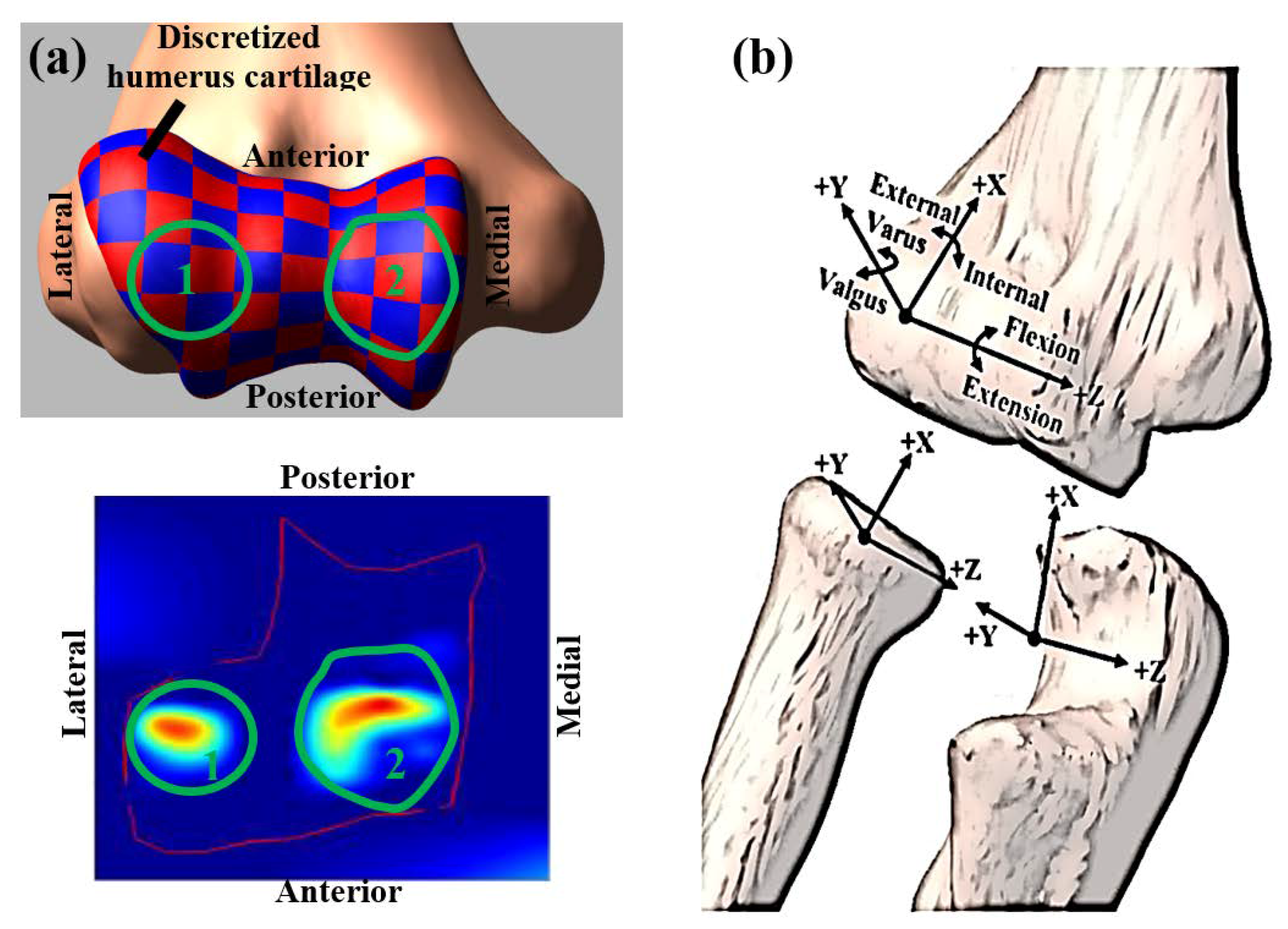 Bioengineering 05 00084 g003
