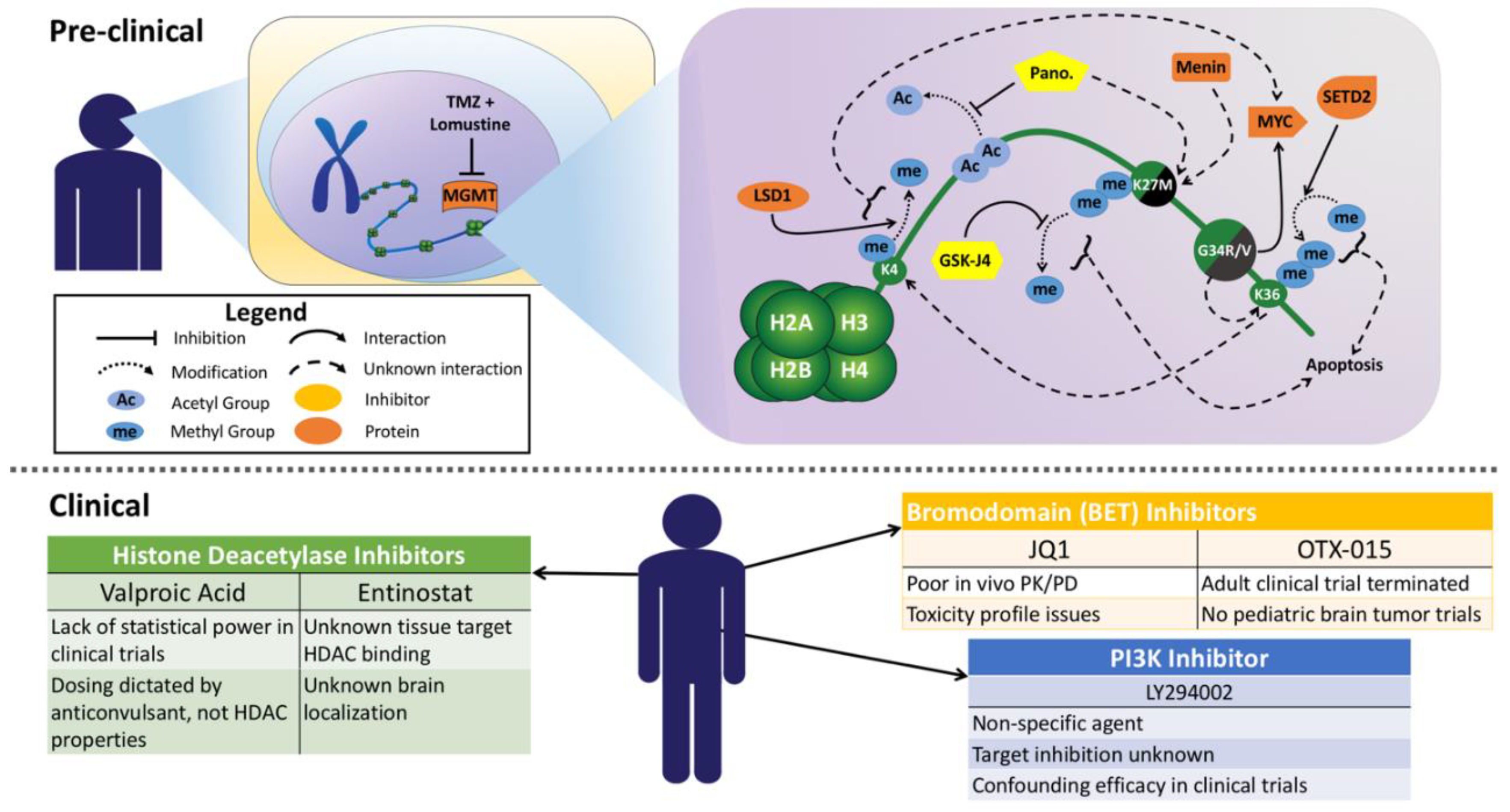 Bioengineering 05 00088 g001