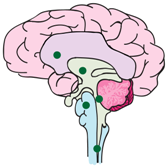 Bioengineering 05 00088 i001