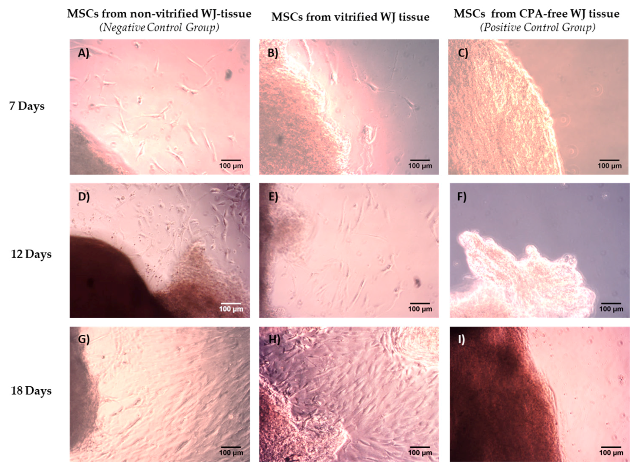Bioengineering 05 00095 g001