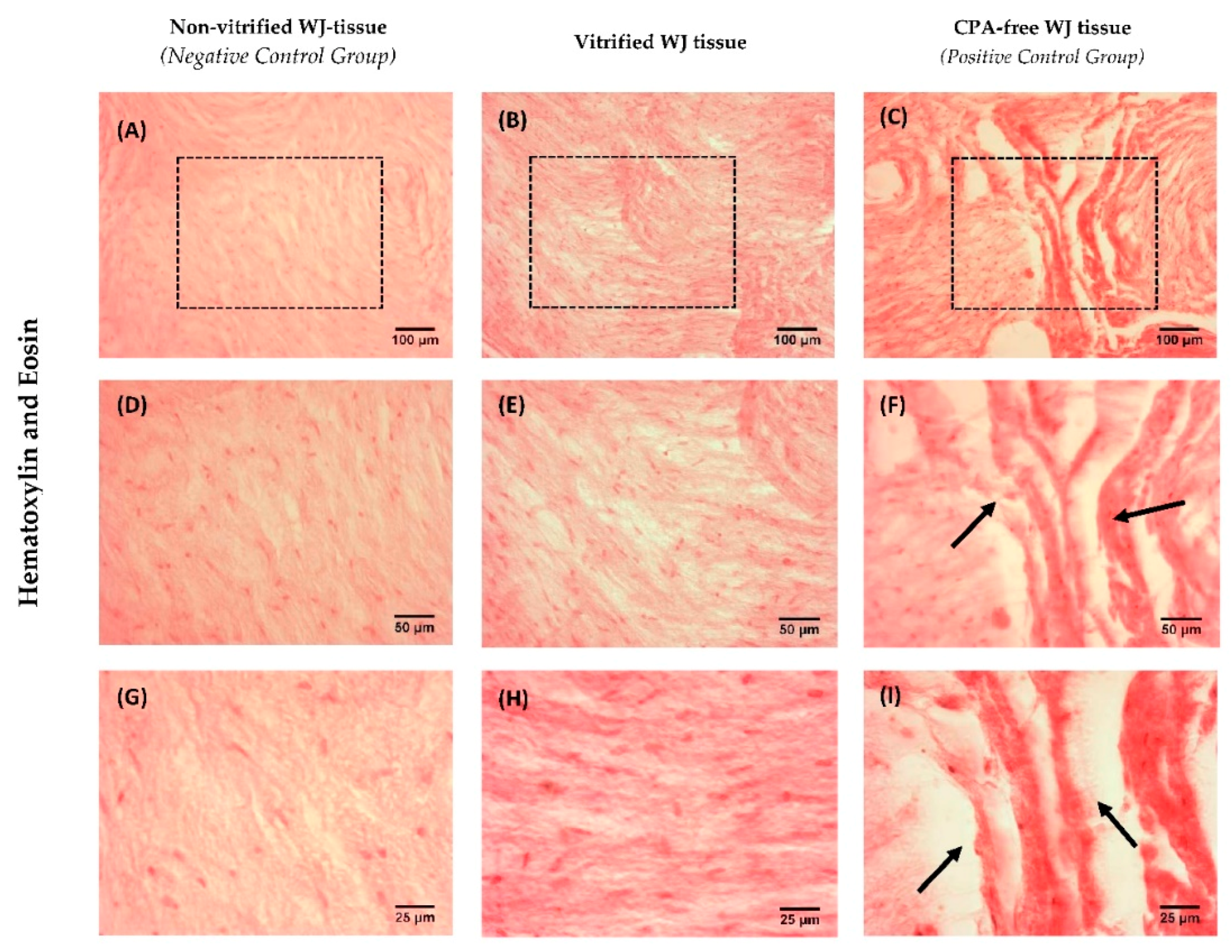 Bioengineering 05 00095 g002