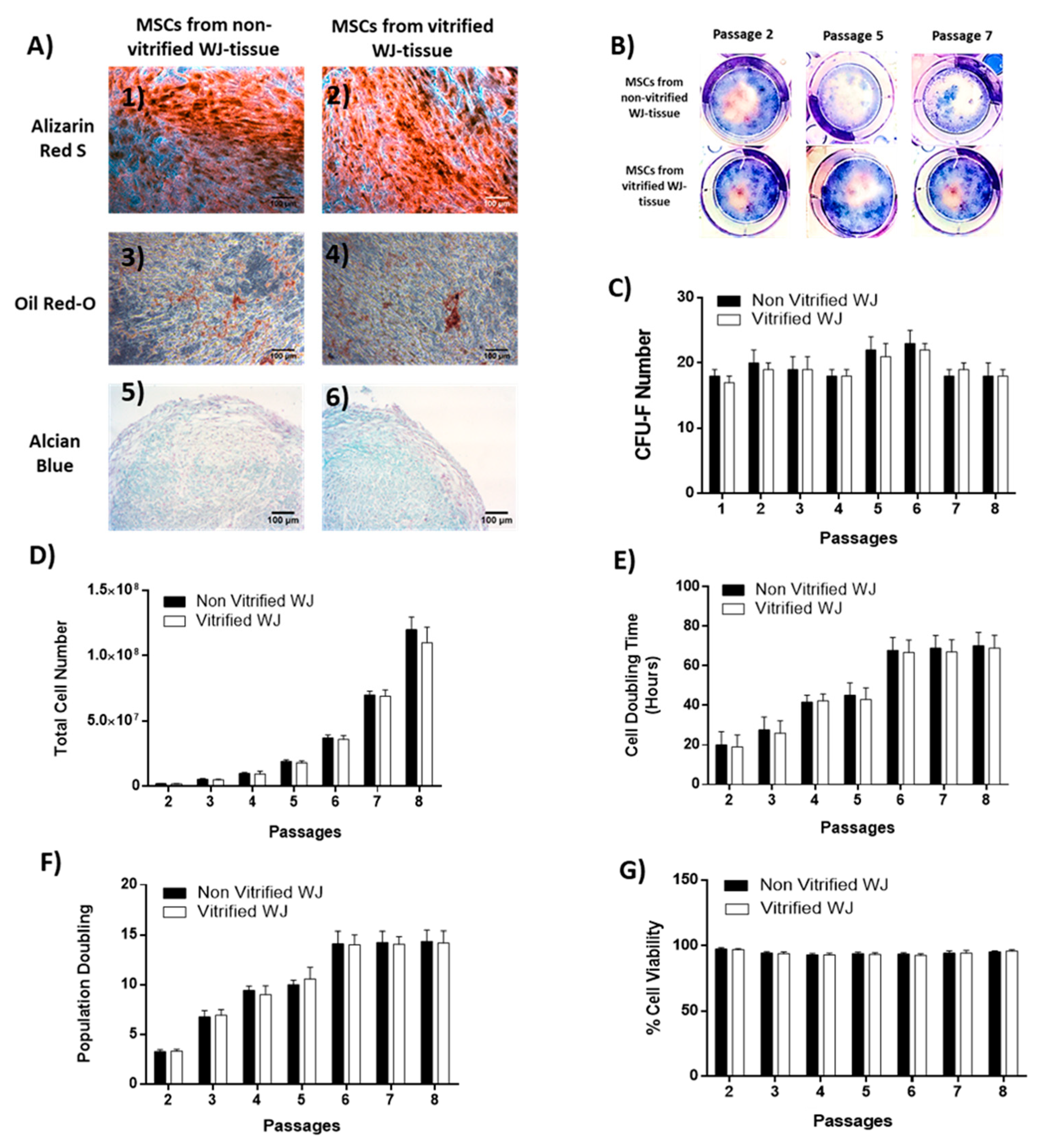 Bioengineering 05 00095 g003