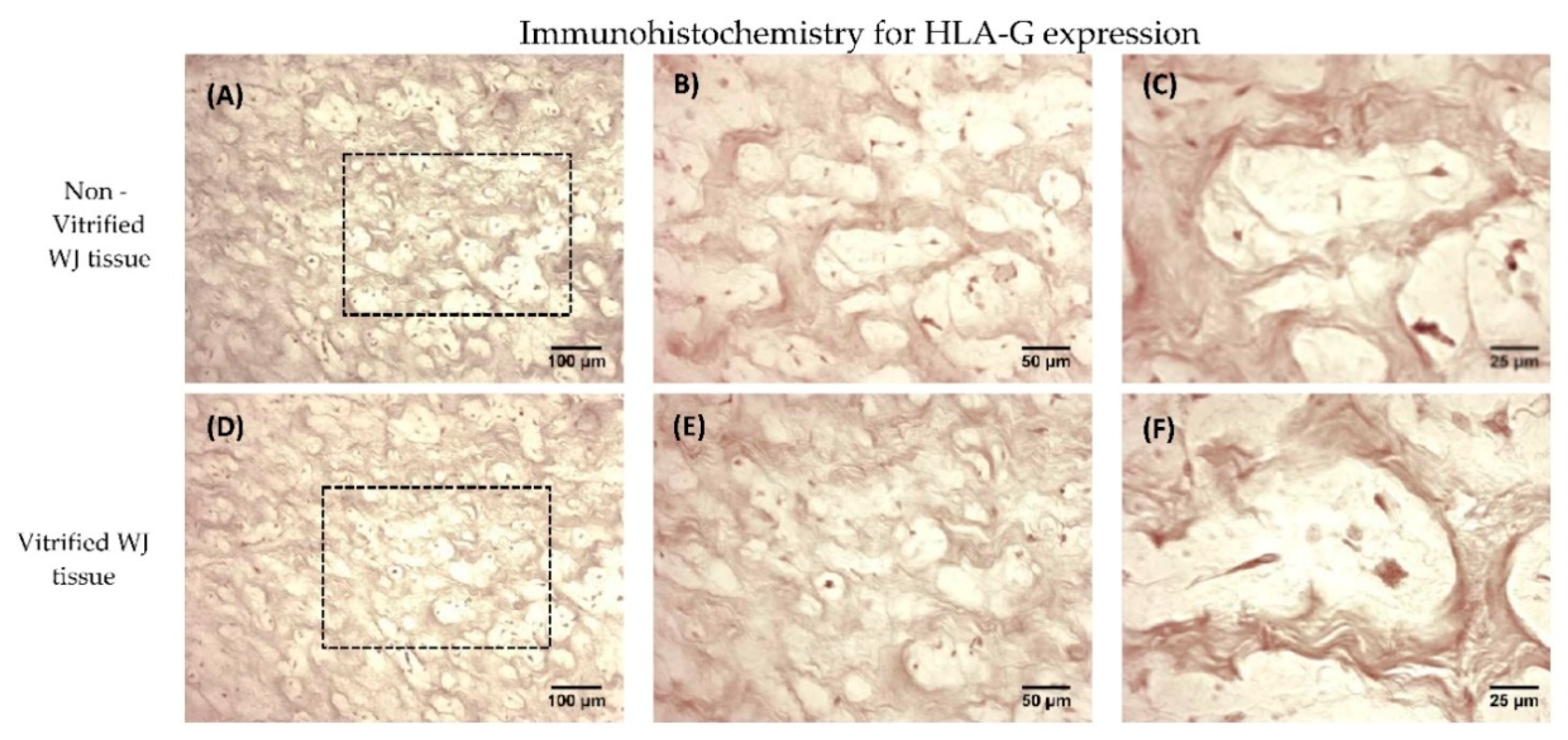 Bioengineering 05 00095 g004
