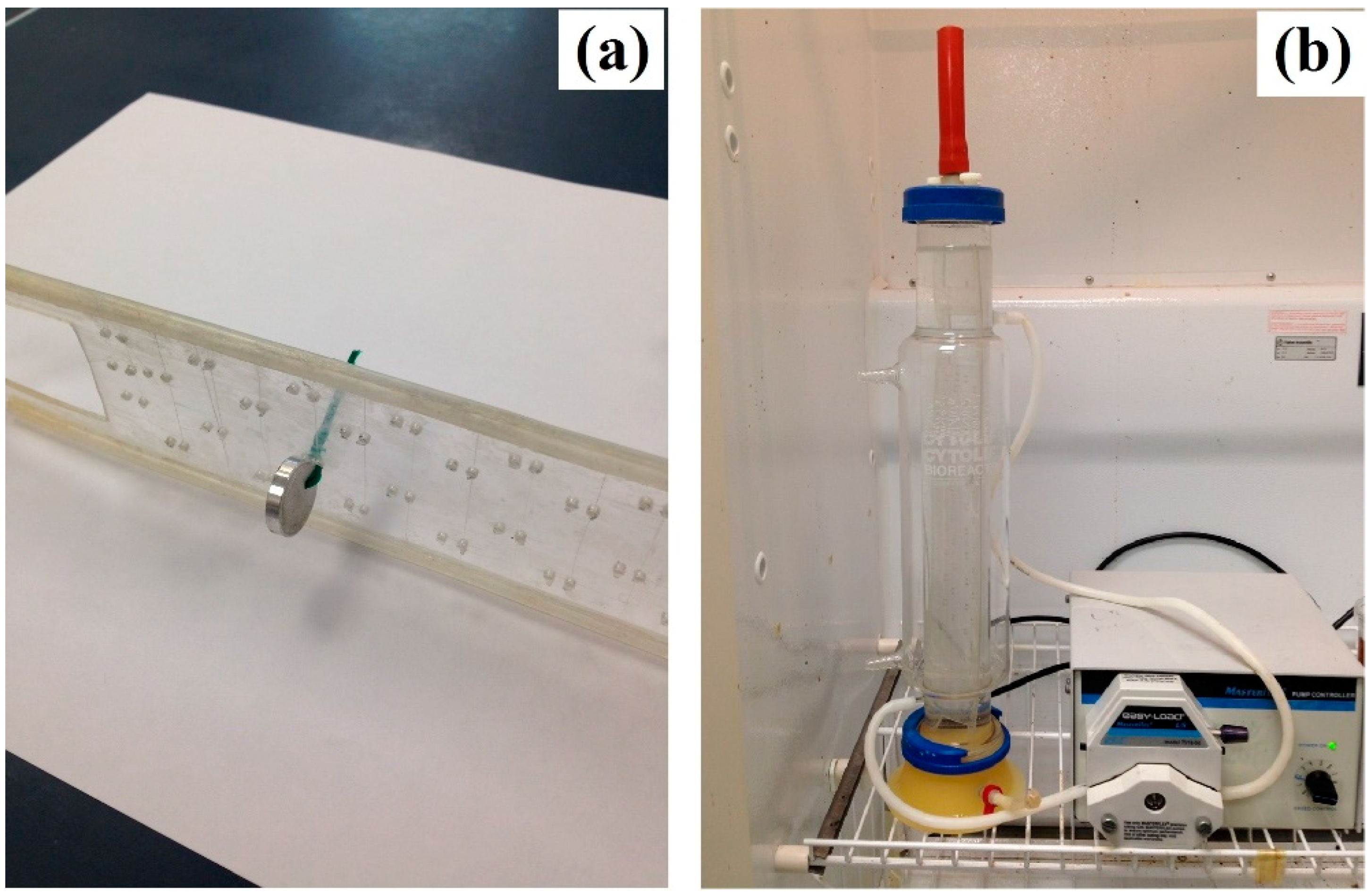 Bioengineering 05 00105 g001