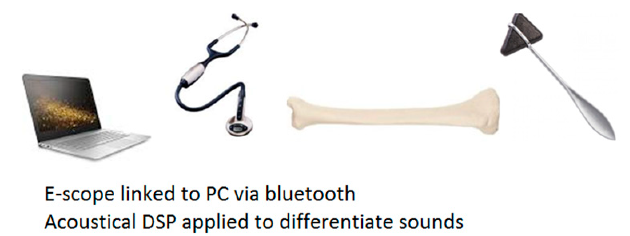 Bioengineering 05 00107 g001