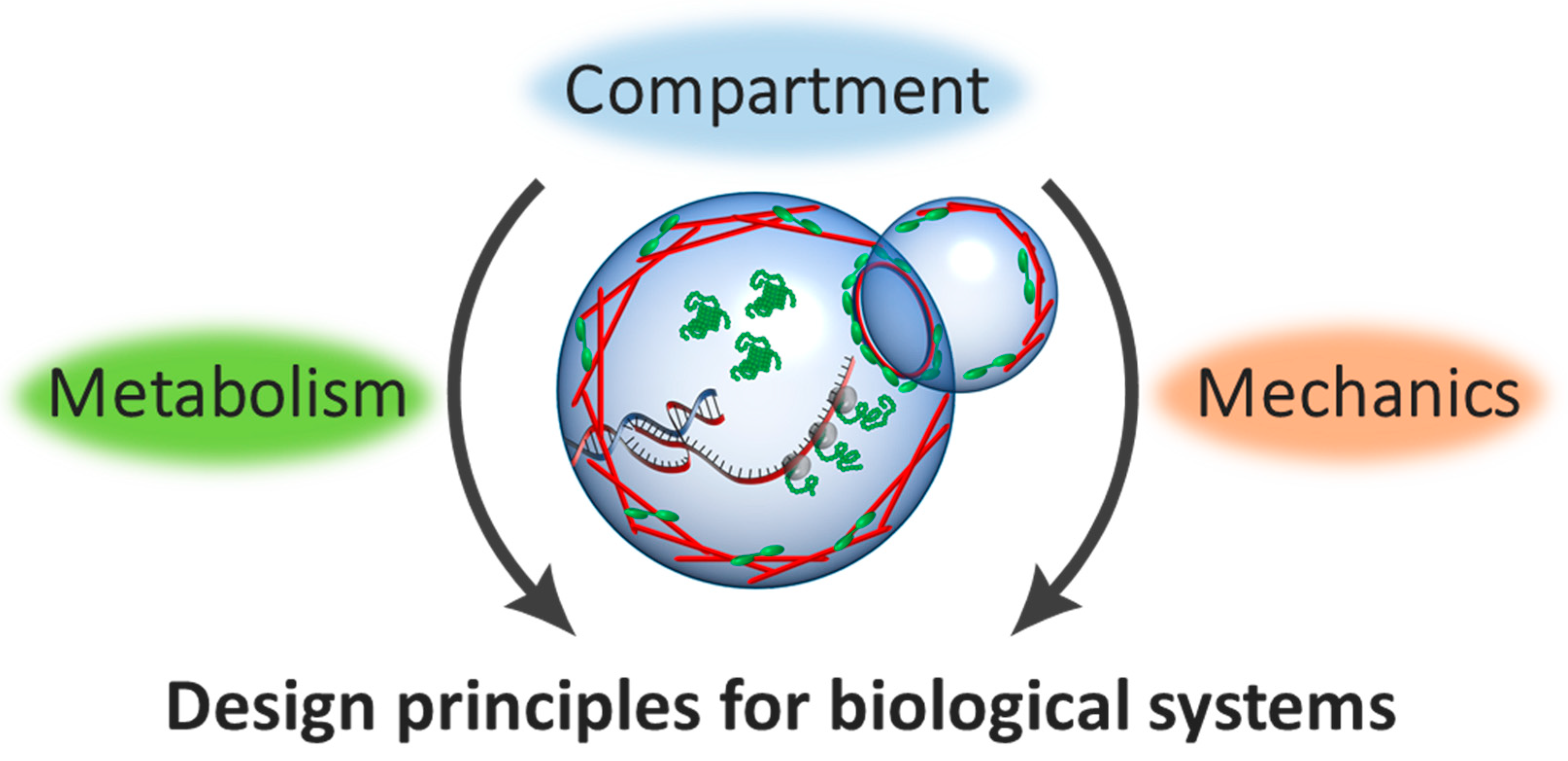 Bioengineering 05 00110 g001 Bioengineering 05 00110 g001