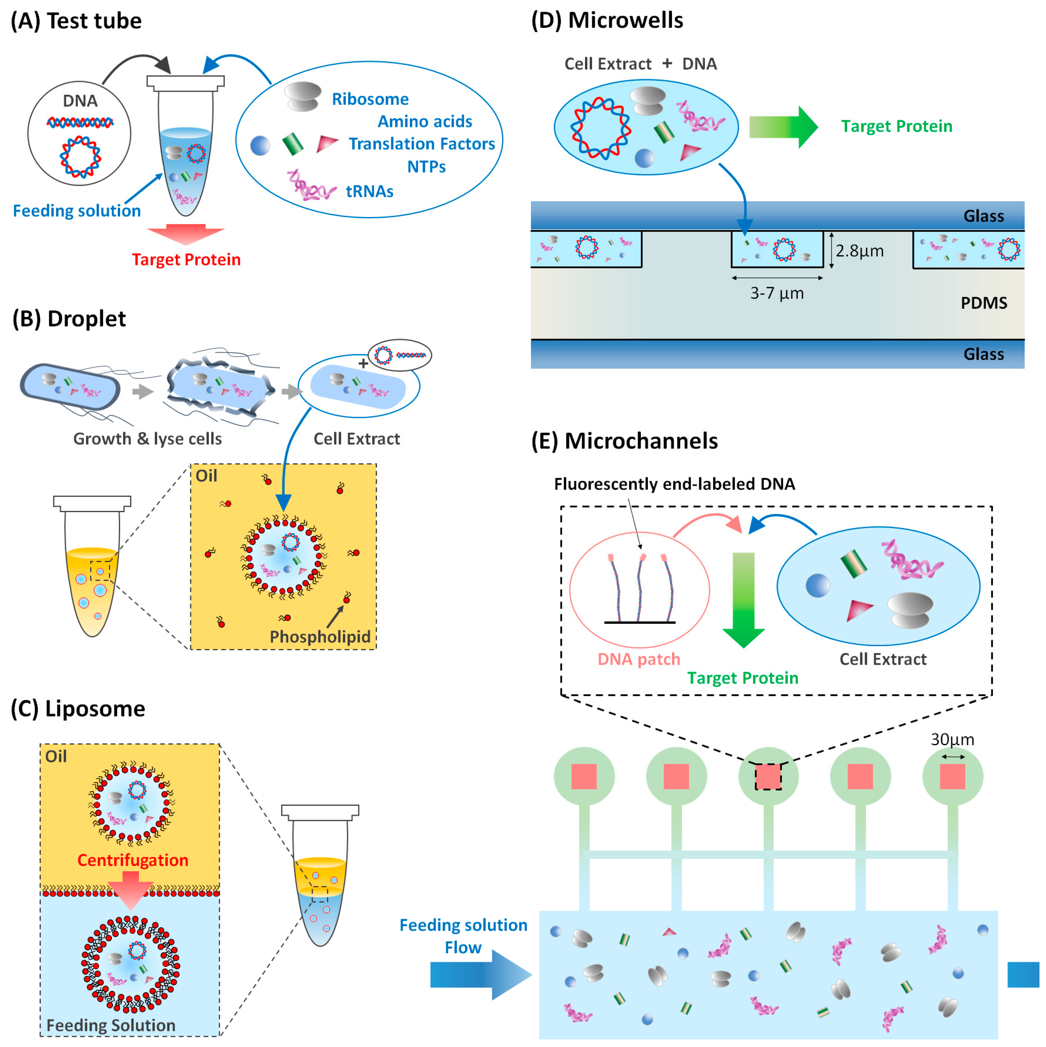 Bioengineering 05 00110 g002 Bioengineering 05 00110 g002