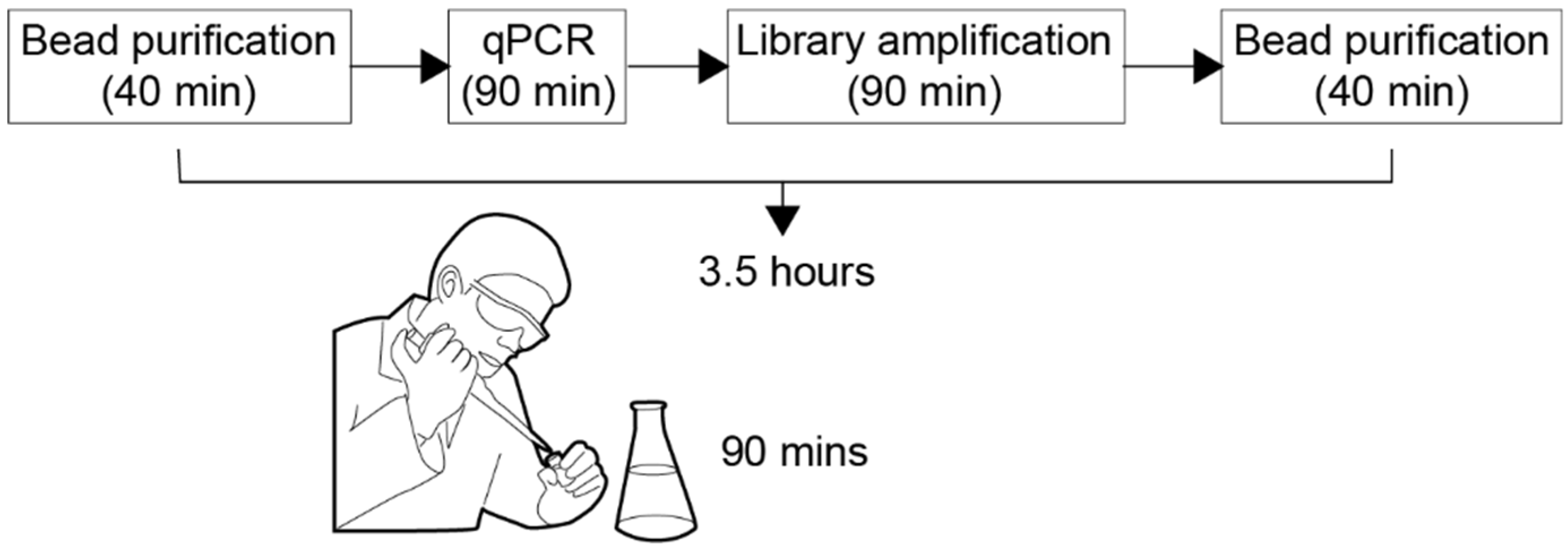 Bioengineering 06 00005 g001