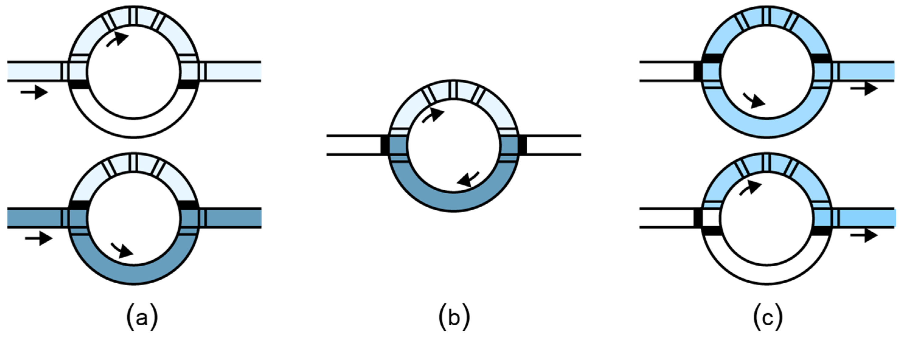 Bioengineering 06 00005 g005