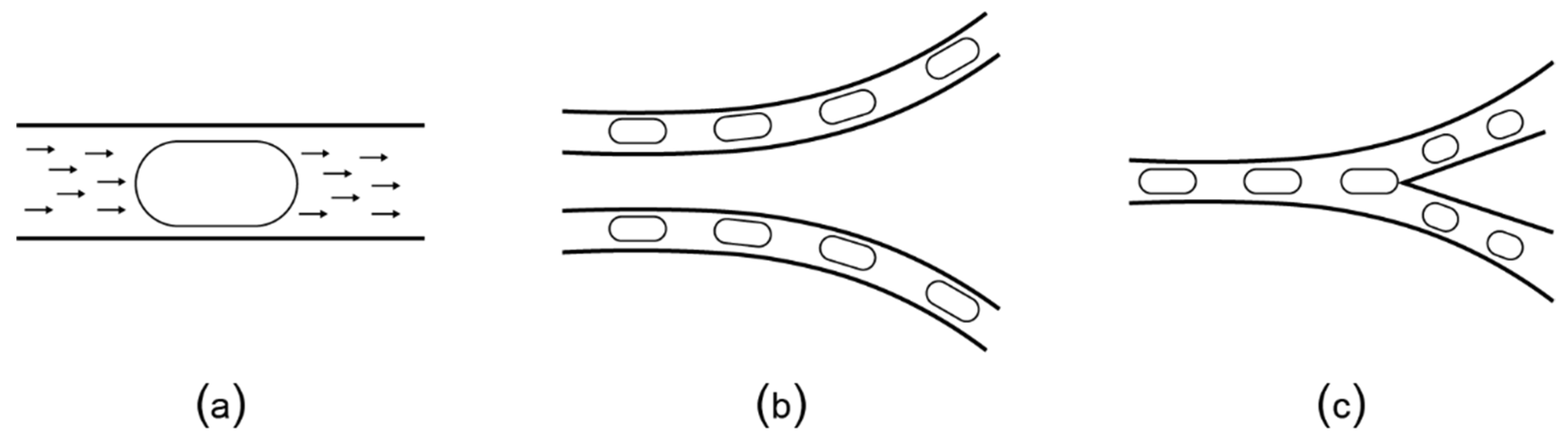 Bioengineering 06 00005 g007