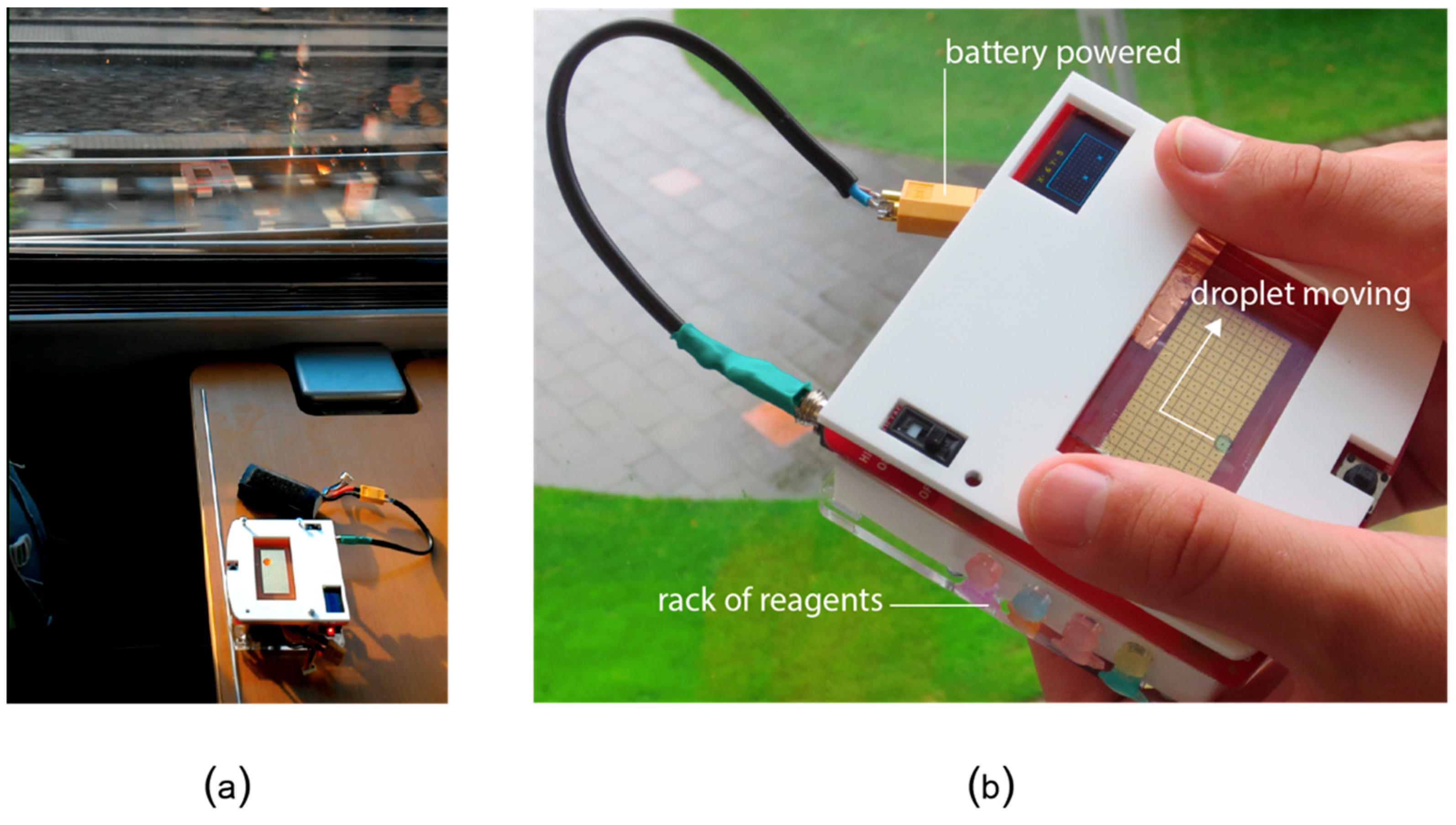 Bioengineering 06 00005 g015