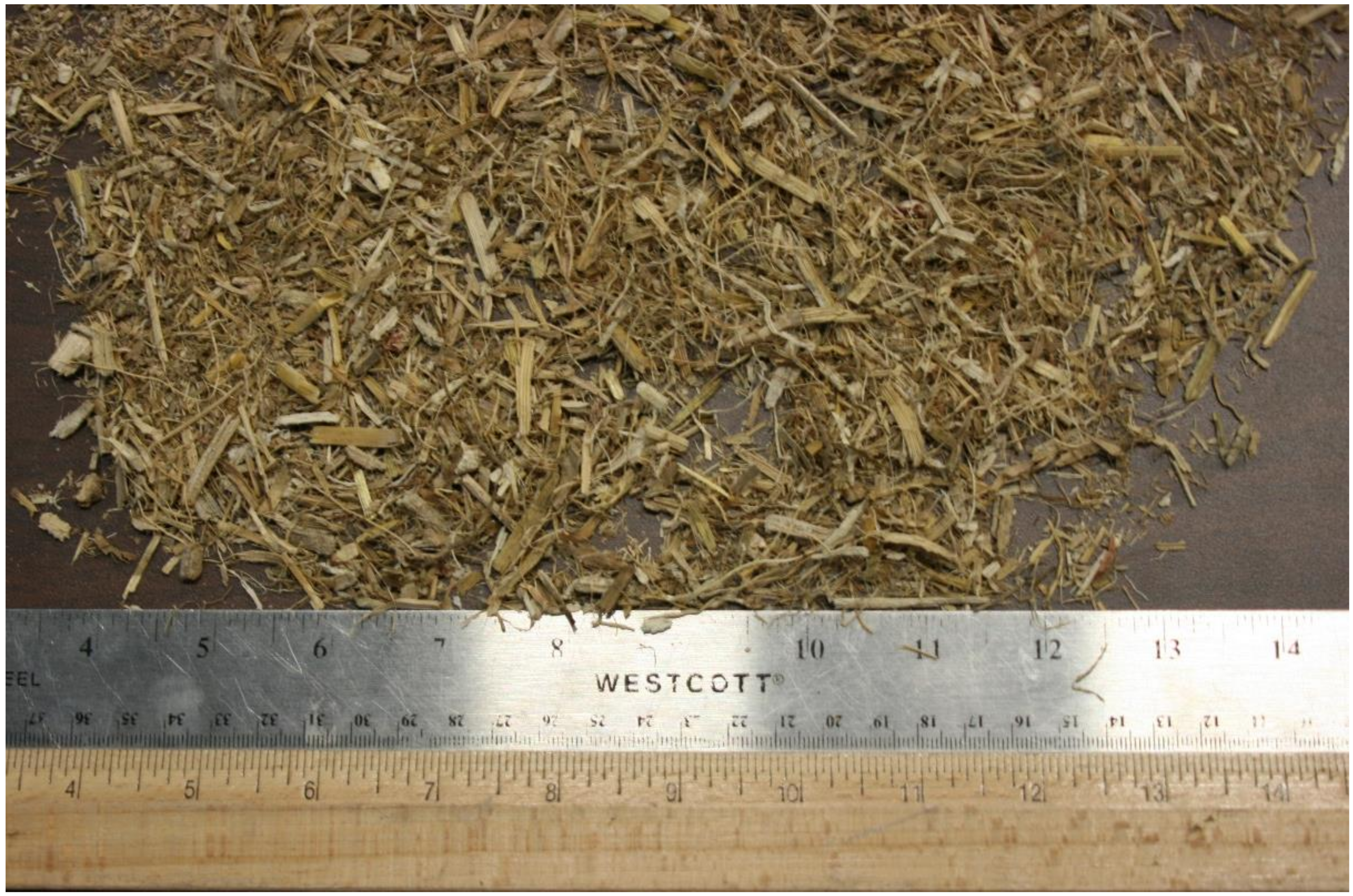 Bioengineering 06 00012 g002