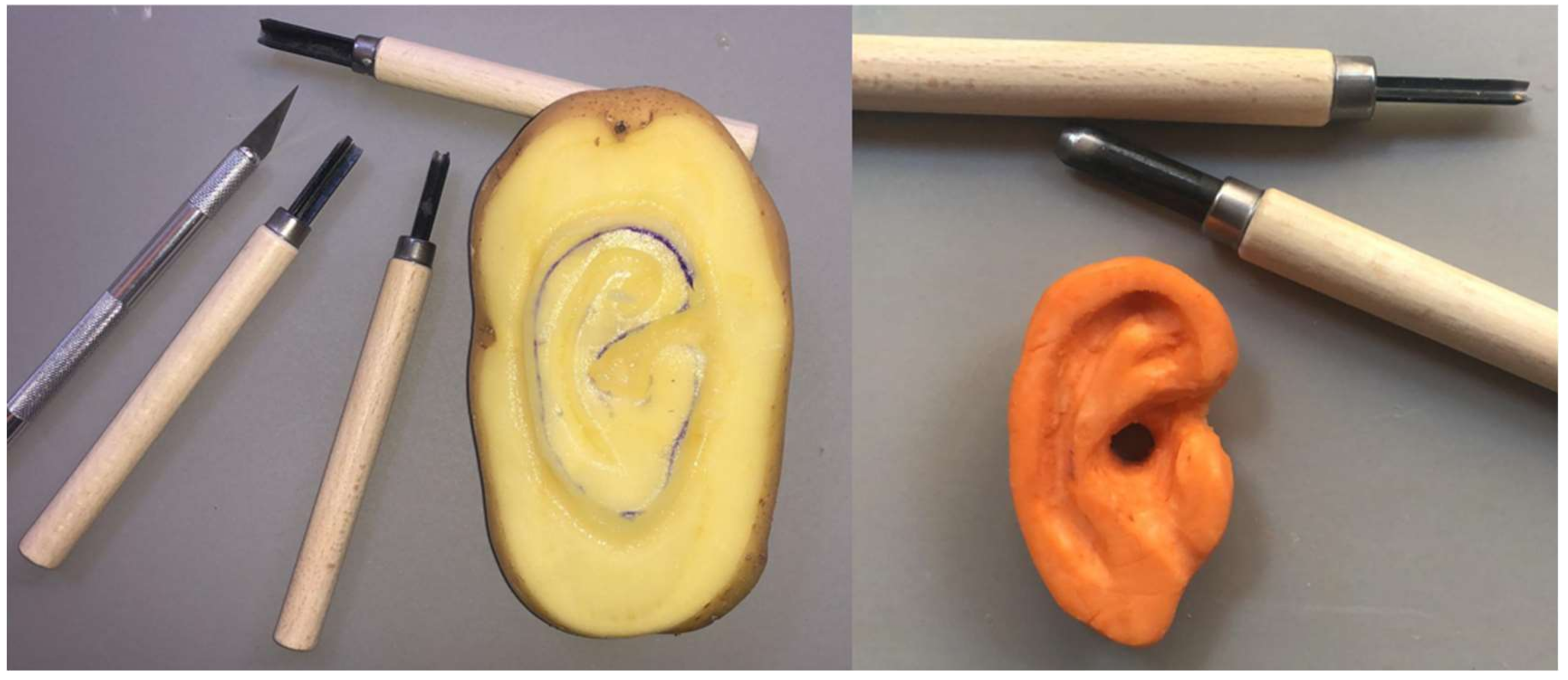 Bioengineering 06 00014 g002