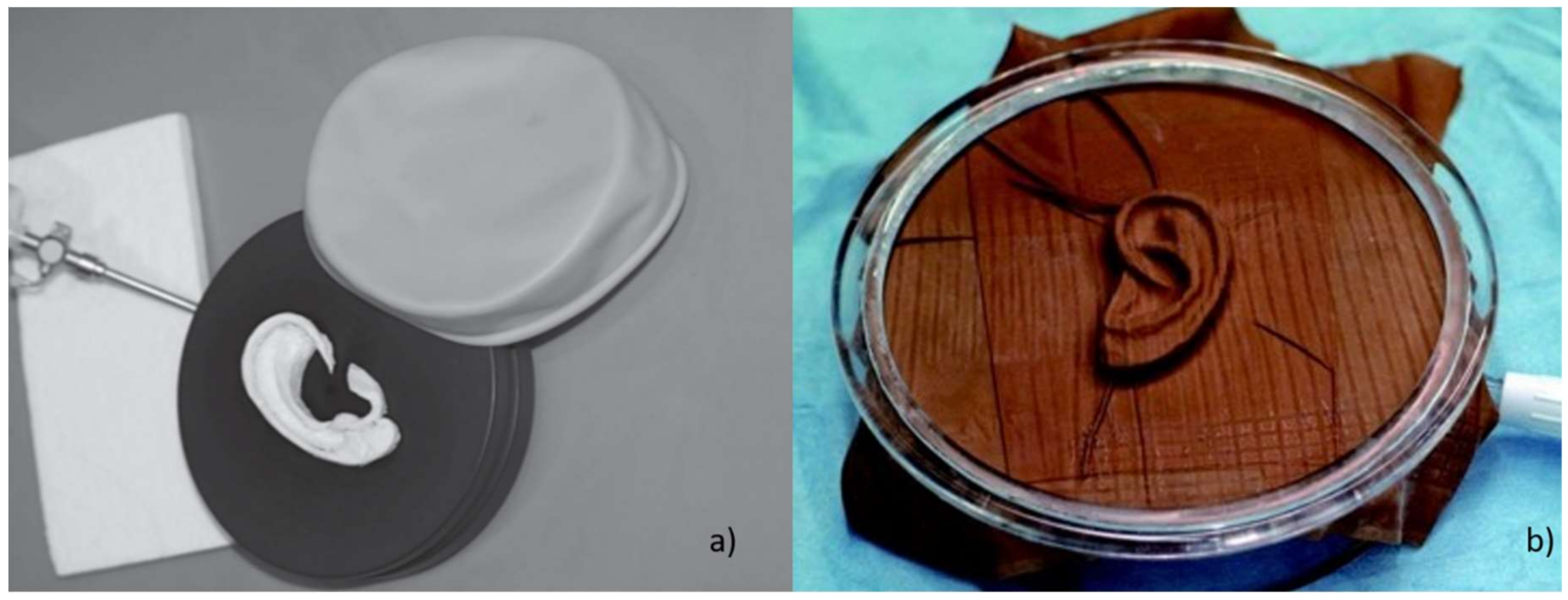 Bioengineering 06 00014 g010