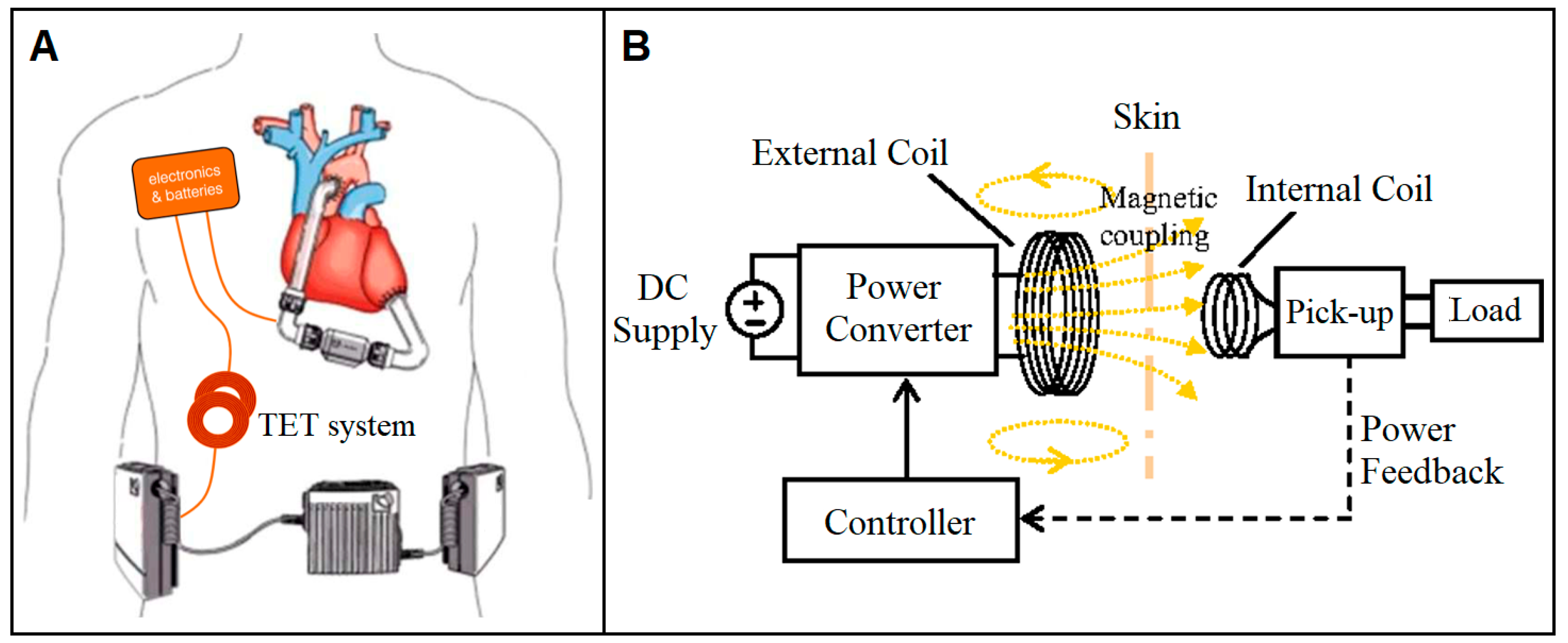 Bioengineering 06 00018 g006