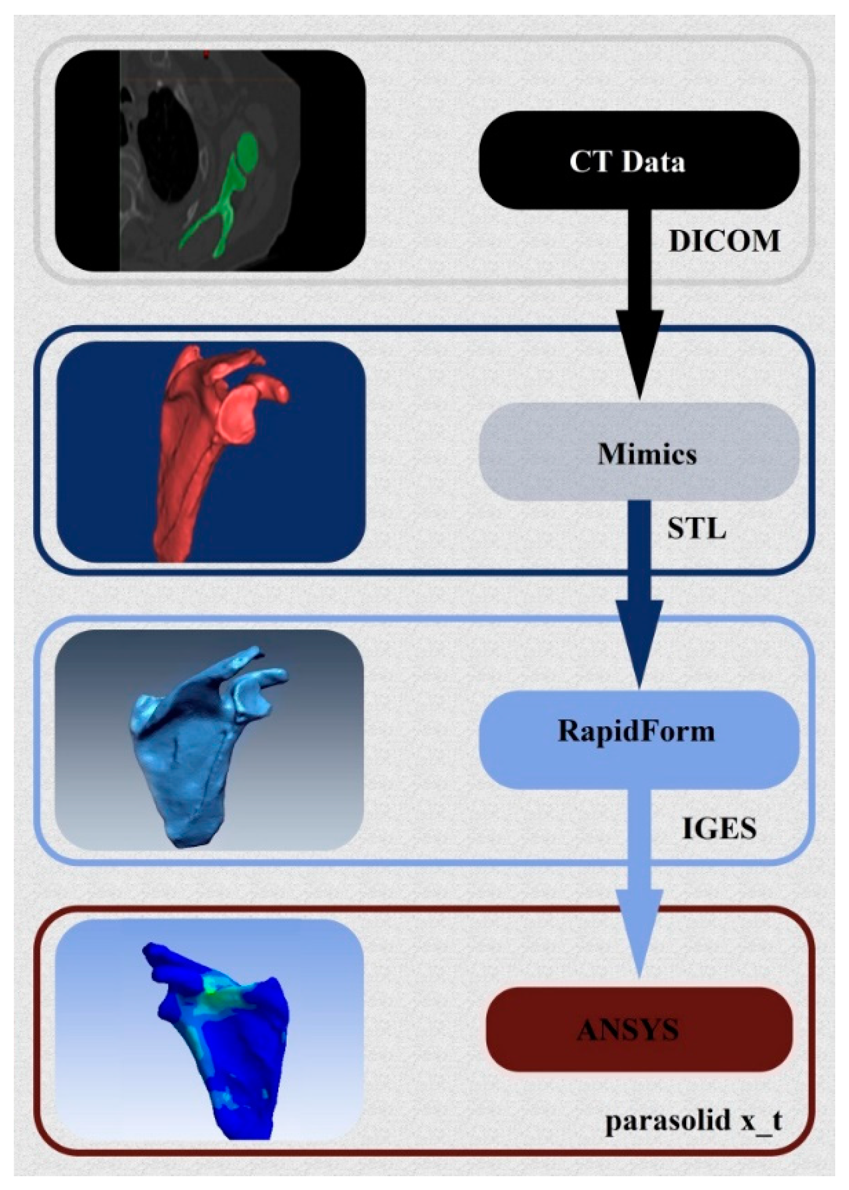 Bioengineering 06 00019 g001