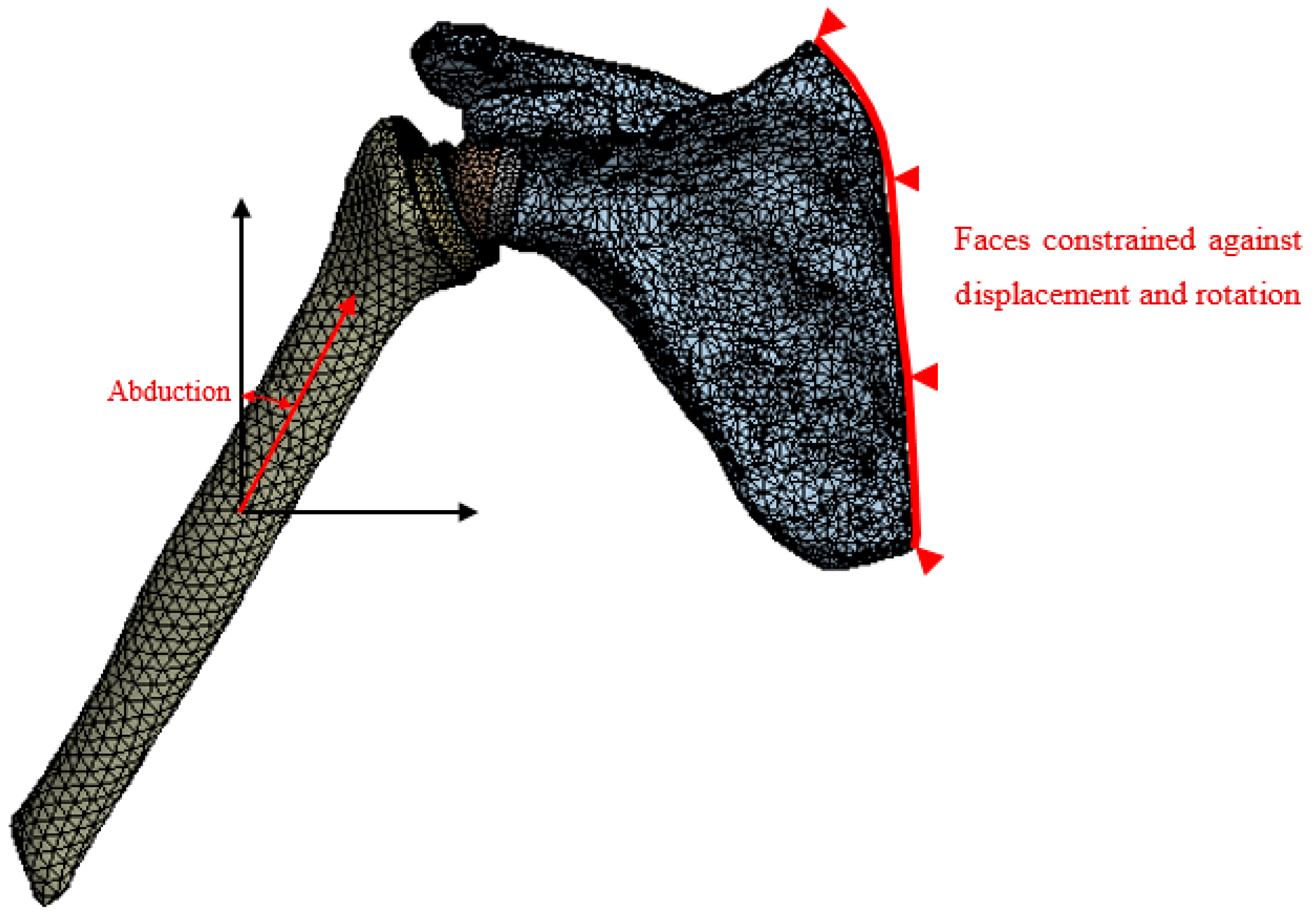 Bioengineering 06 00019 g006