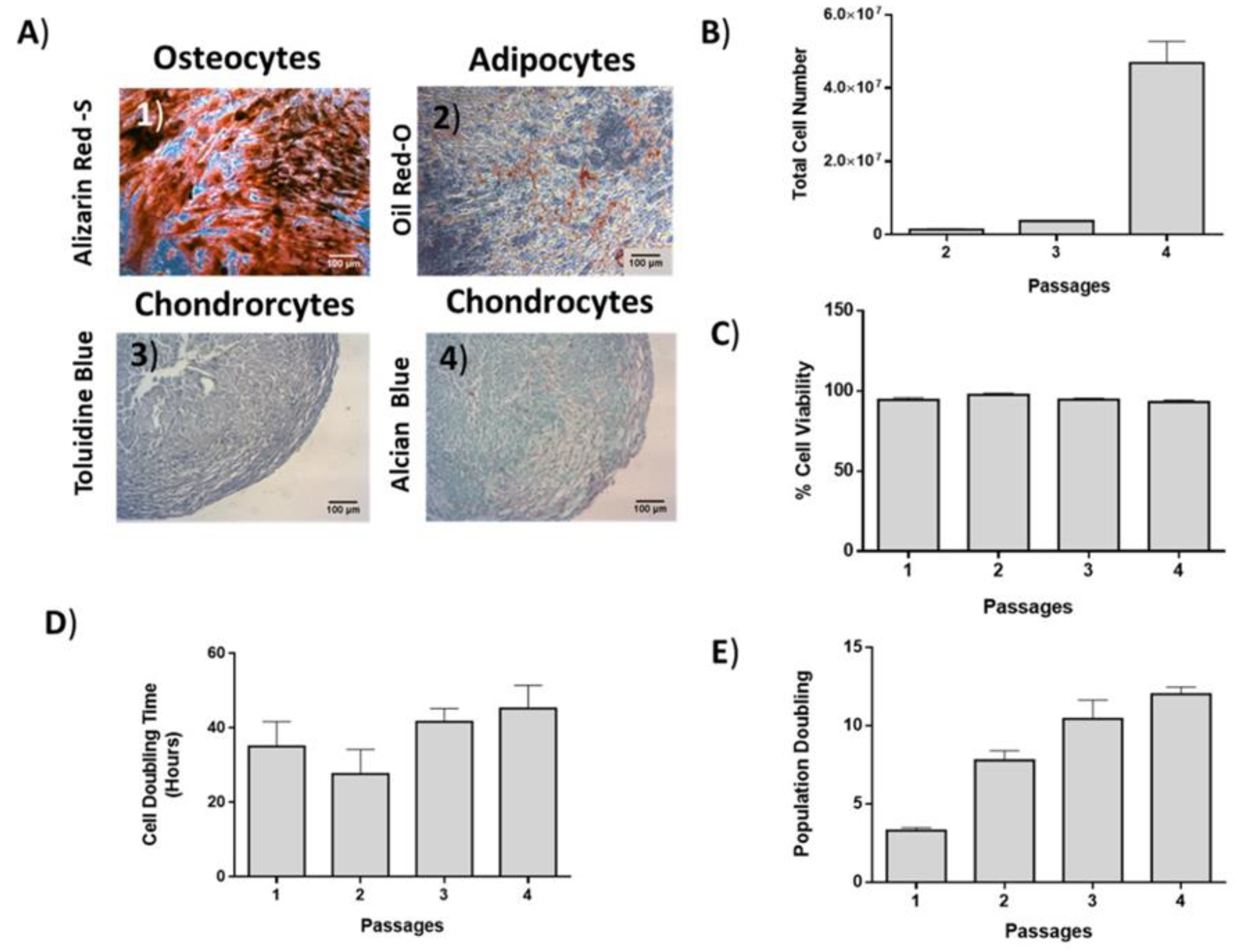 Bioengineering 06 00021 g003