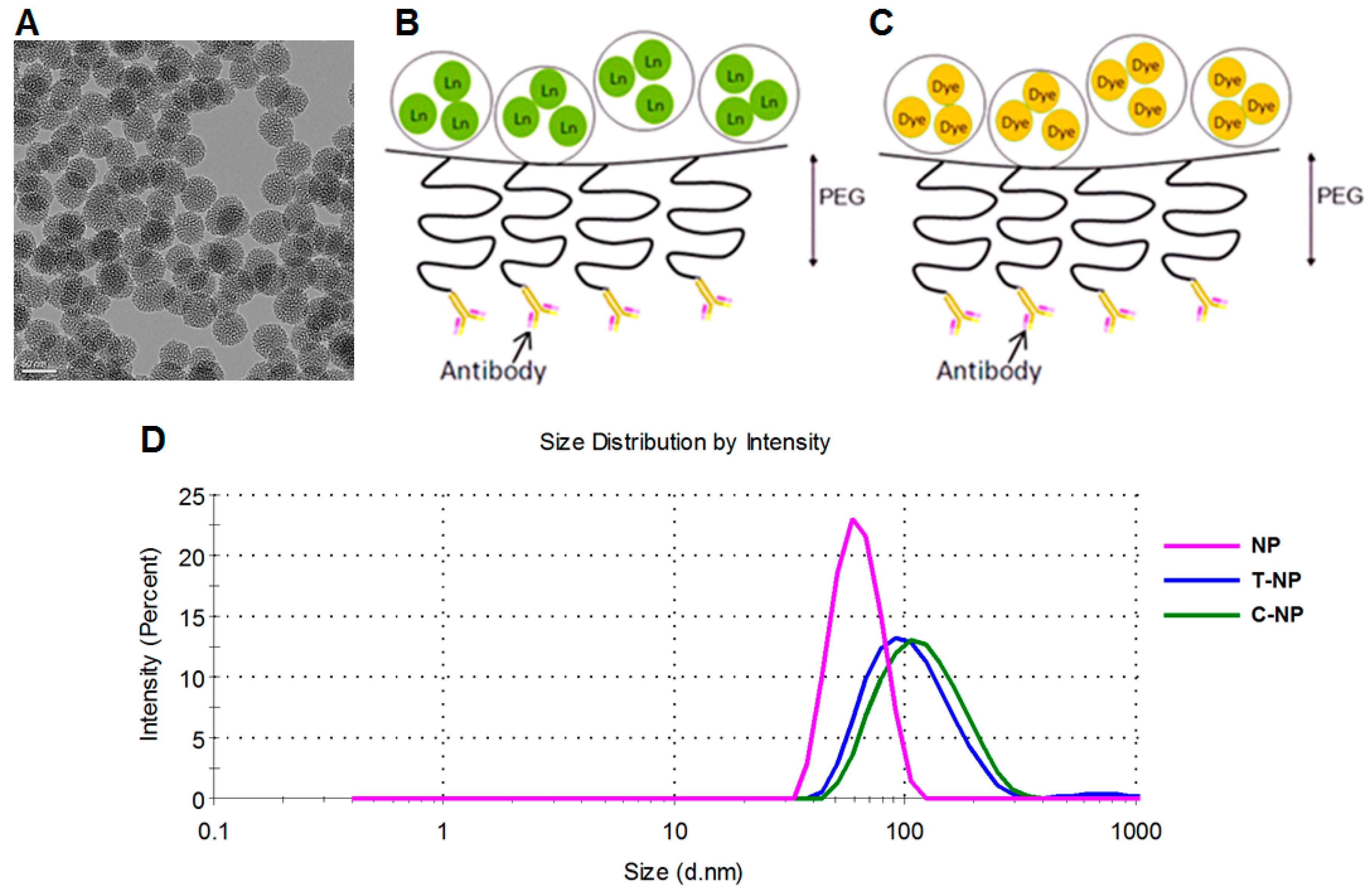 Bioengineering 06 00023 g001 Bioengineering 06 00023 g001
