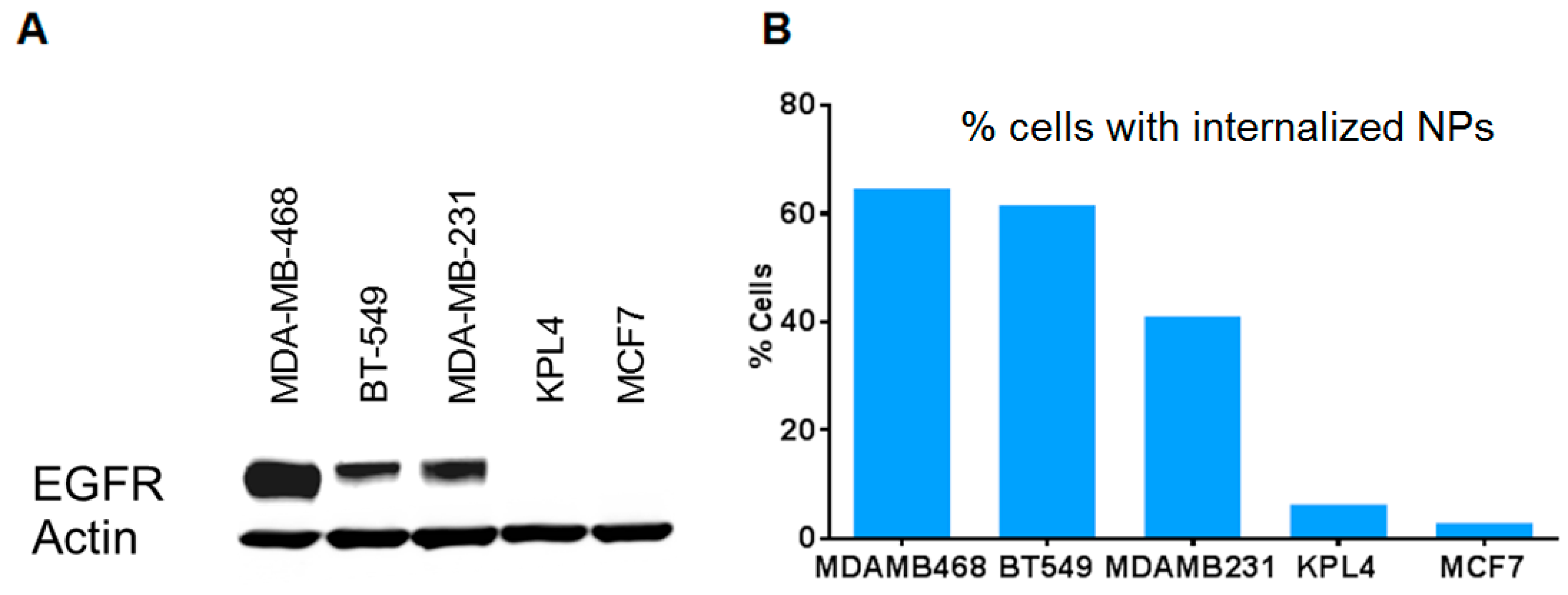 Bioengineering 06 00023 g004 Bioengineering 06 00023 g004