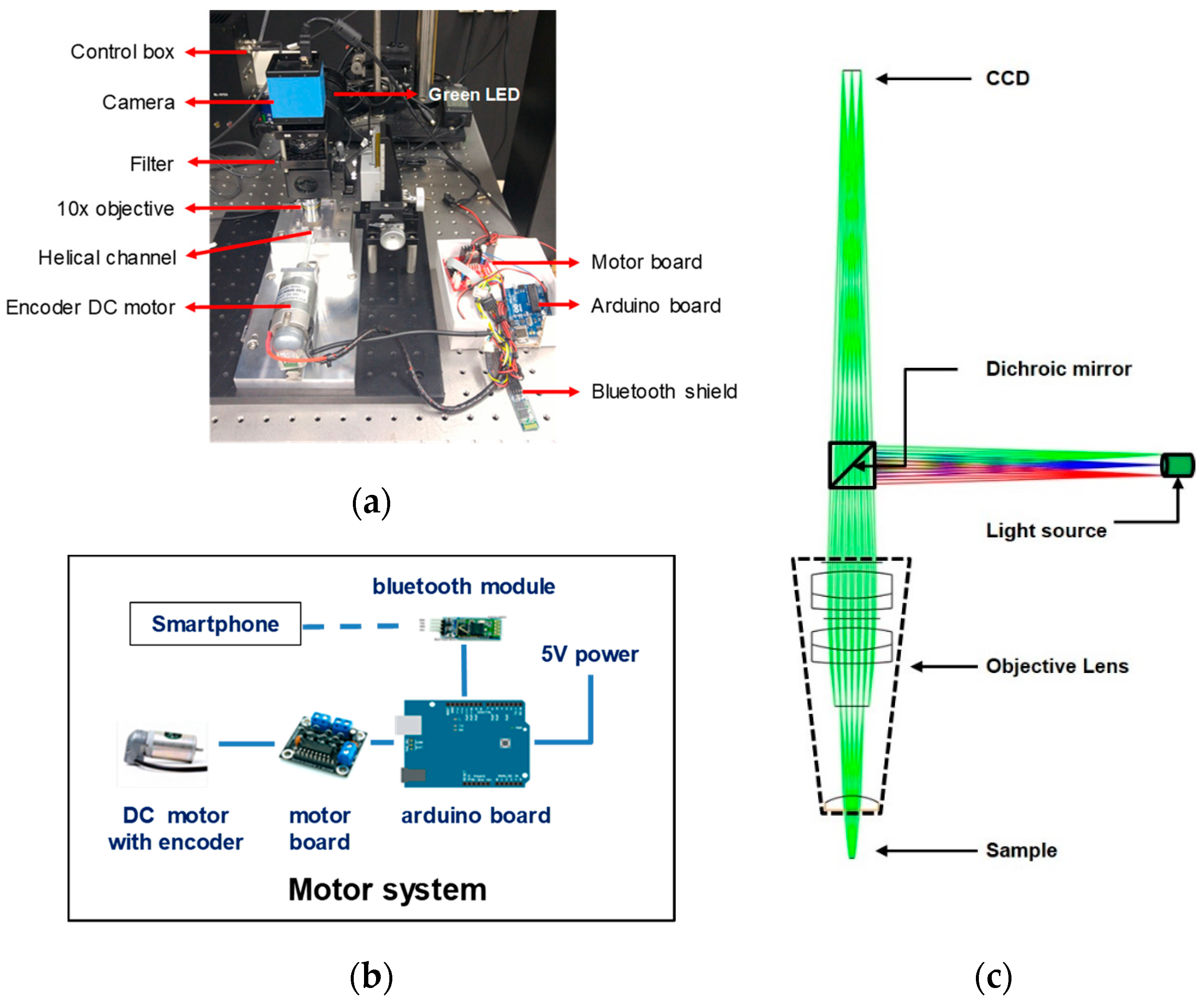Bioengineering 06 00024 g003