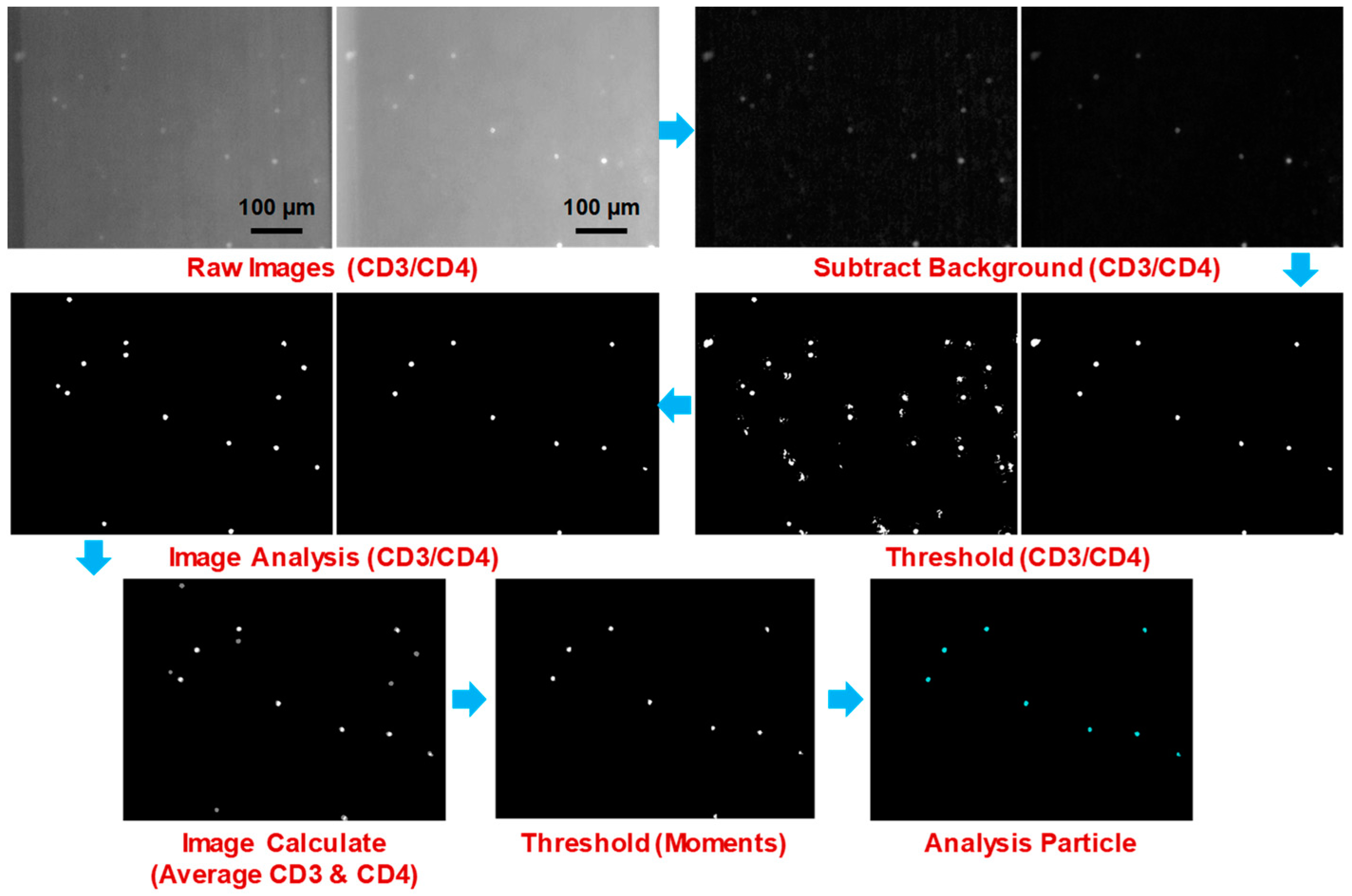Bioengineering 06 00024 g008