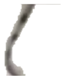 Bioengineering 06 00039 i002