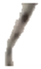 Bioengineering 06 00039 i004