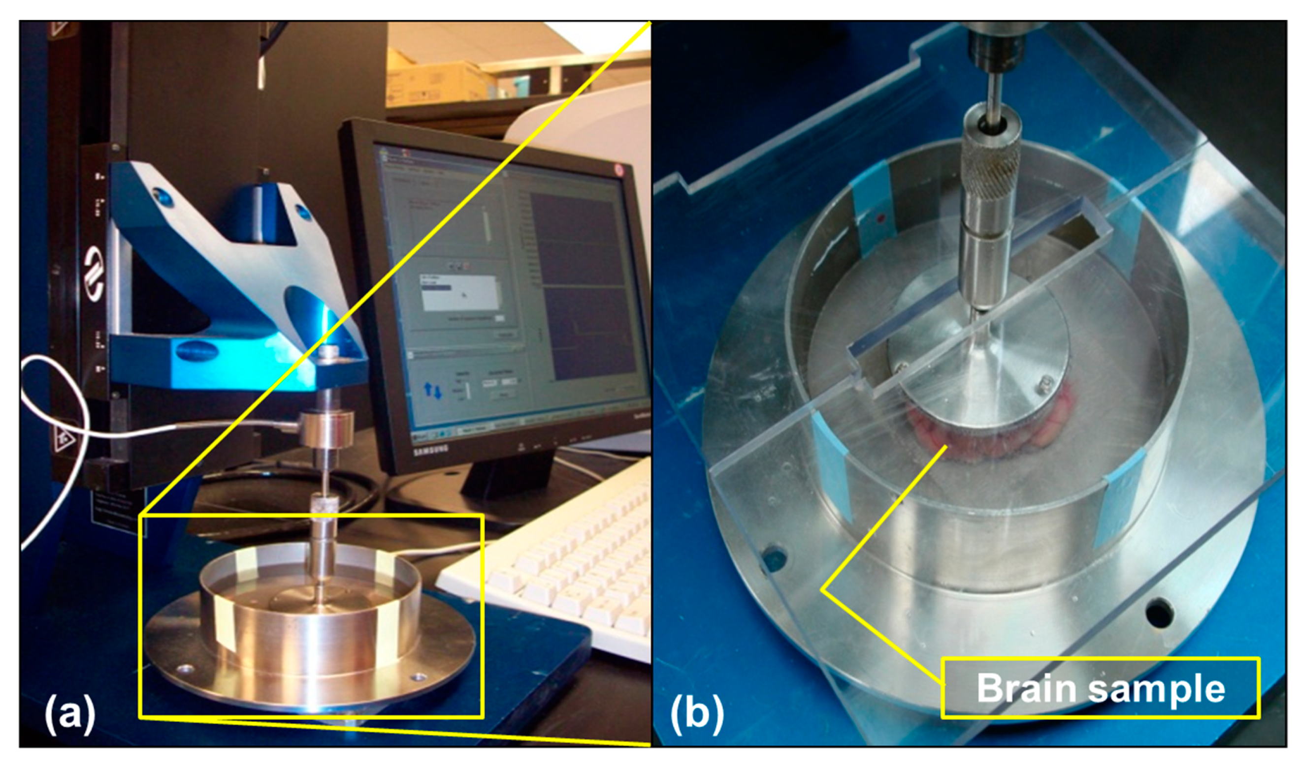 Bioengineering 06 00040 g001