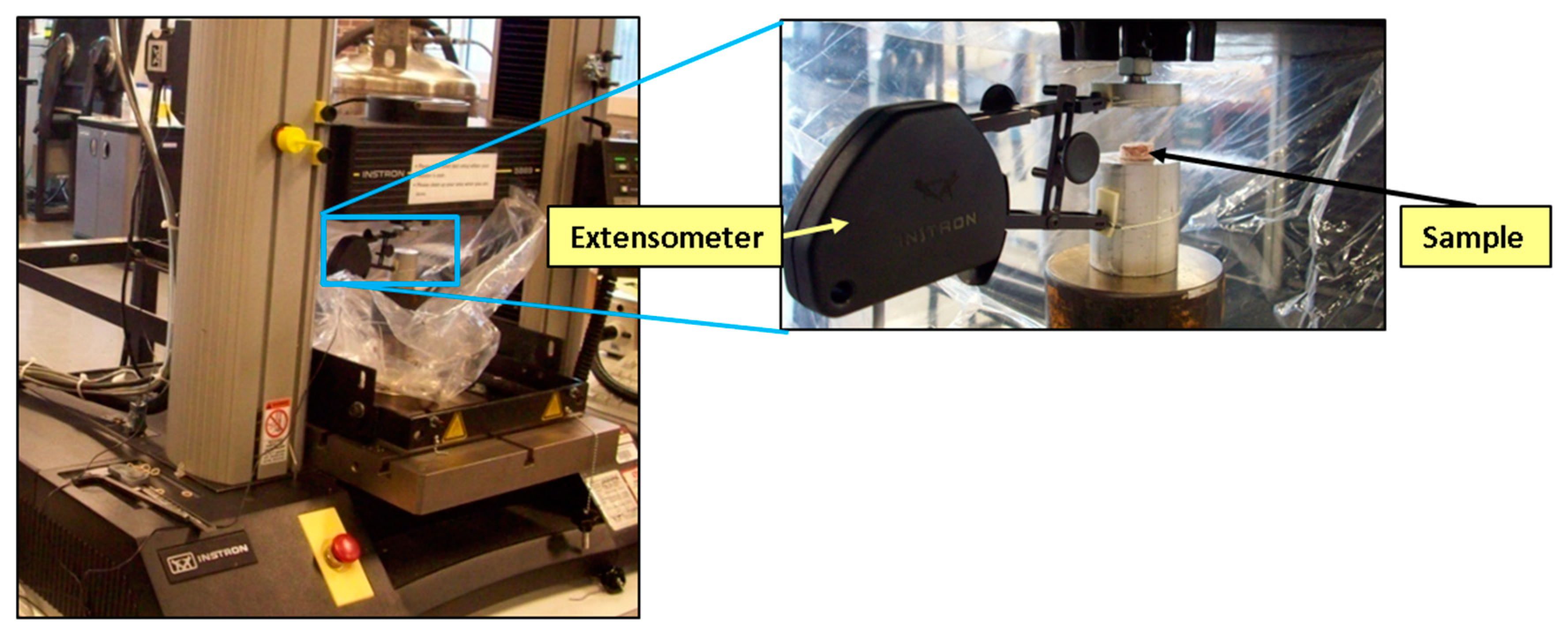 Bioengineering 06 00040 g003
